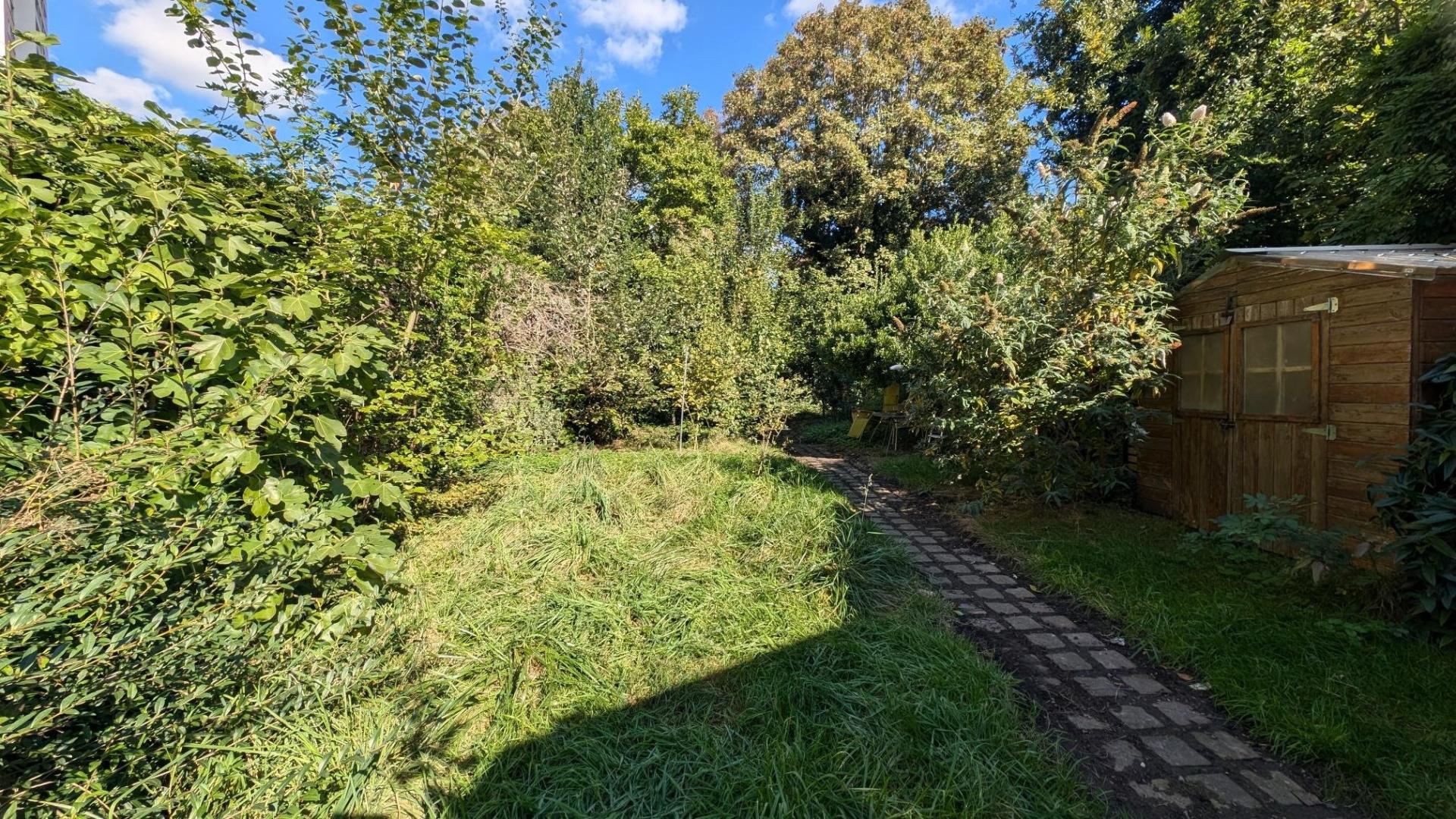 Miniature photo - 13 / 14