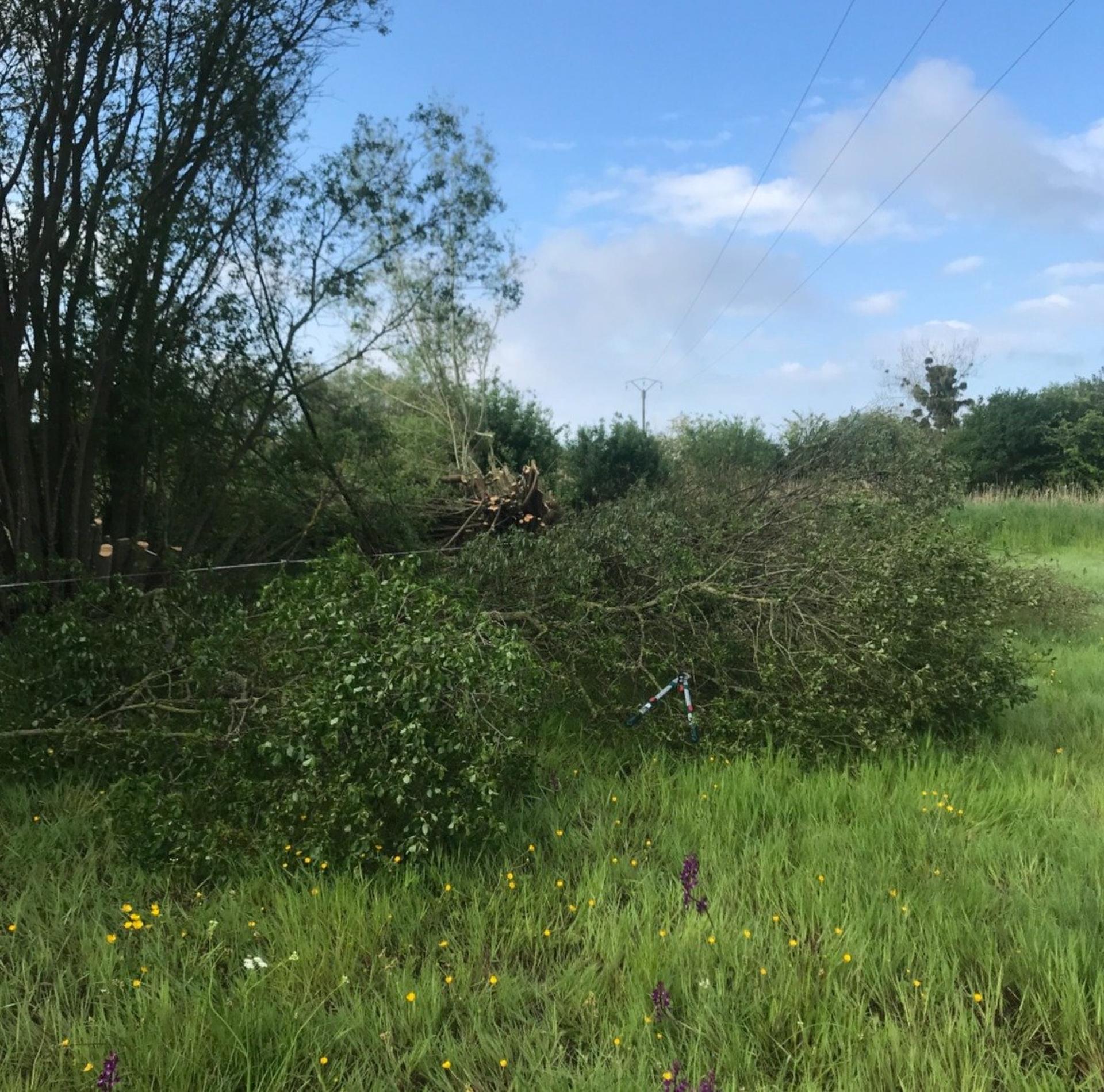 Miniature photo - 2 / 4