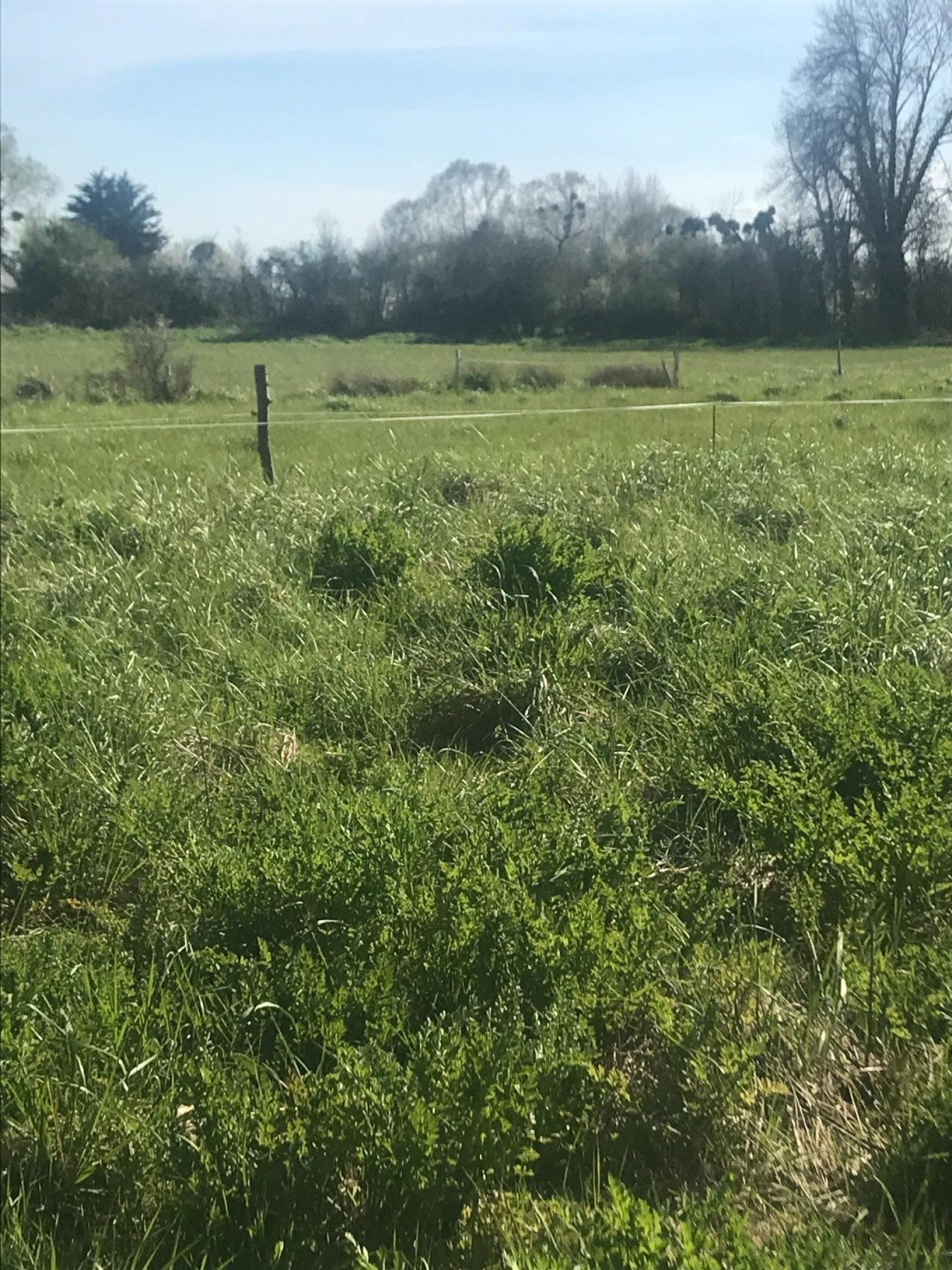 Miniature photo - 3 / 4