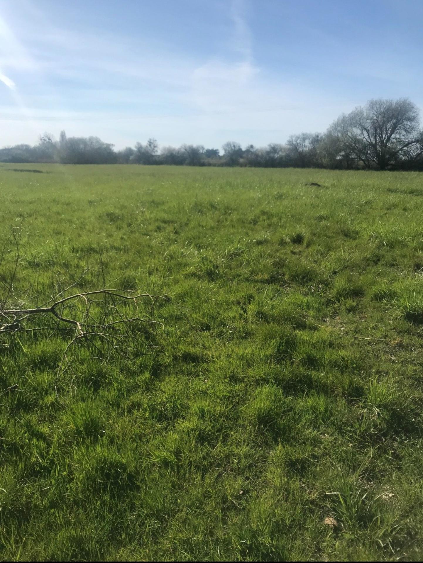 Miniature photo - 4 / 4