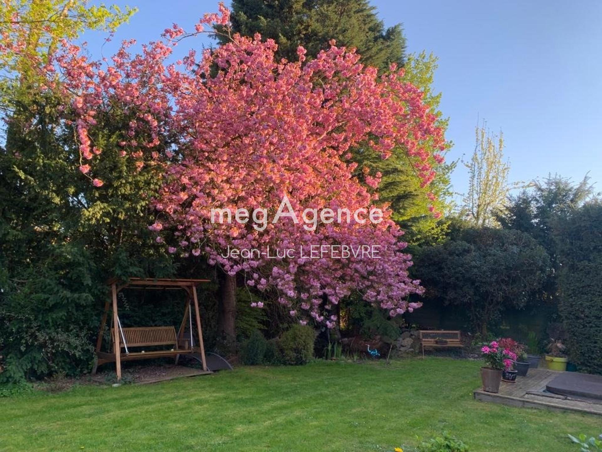 Miniature photo - 2 / 12