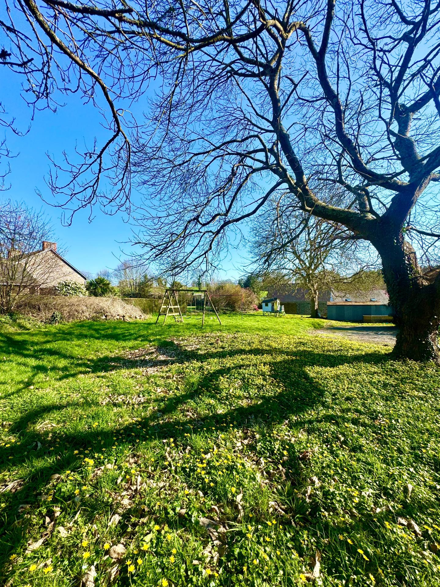 Miniature photo - 3 / 14