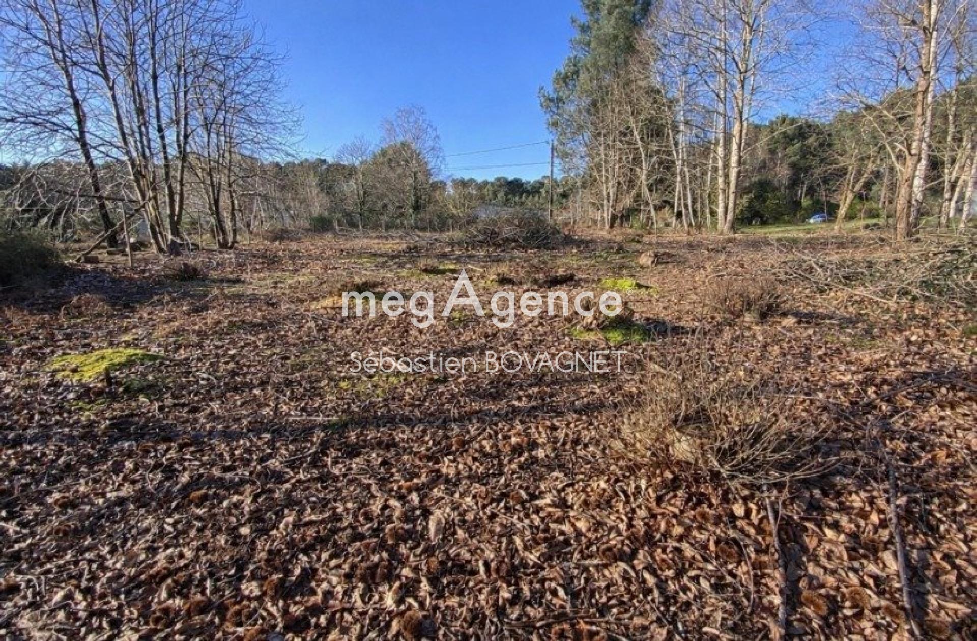 Miniature photo - 2 / 2