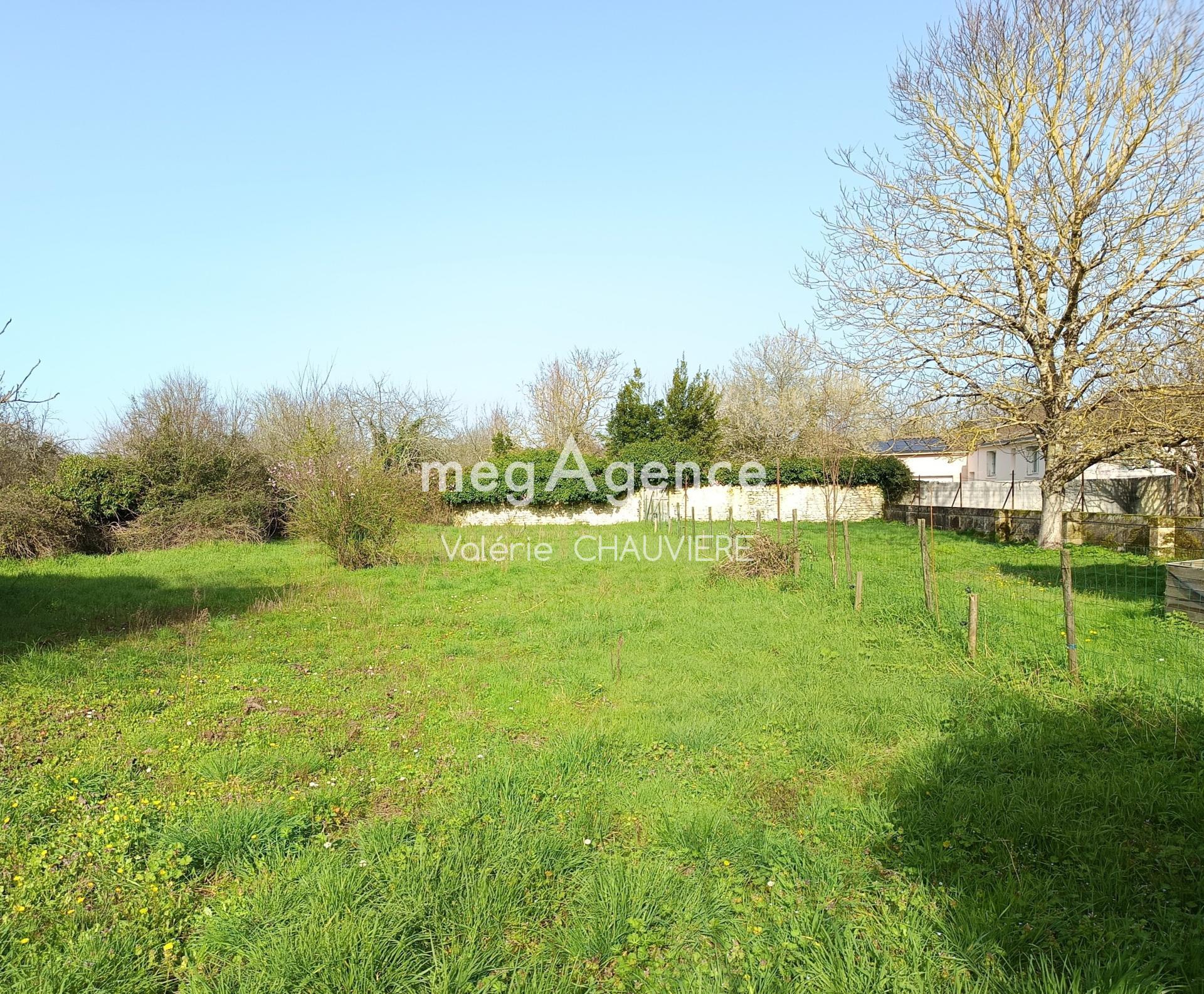 Miniature photo - 13 / 13