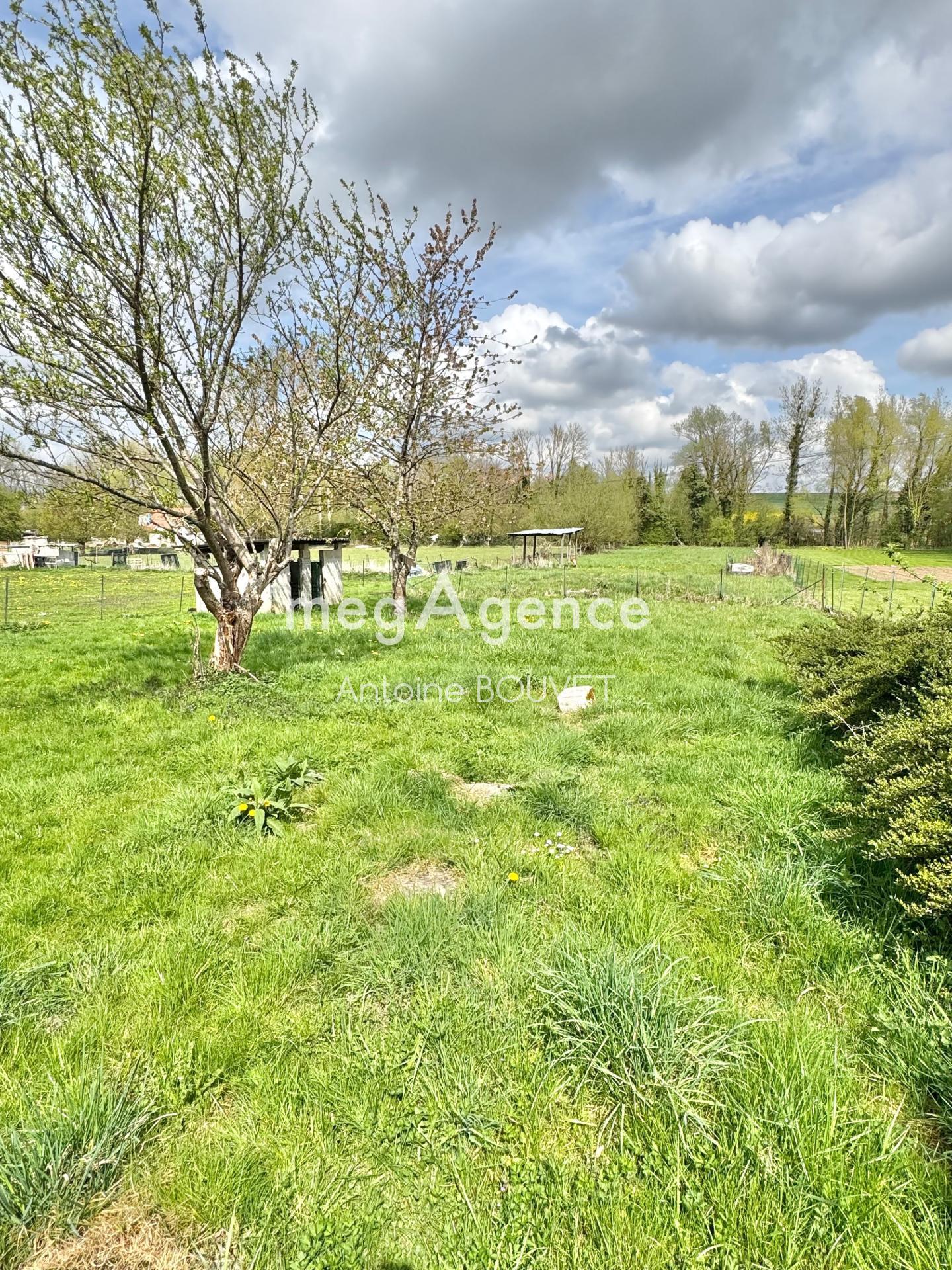 Miniature photo - 6 / 6