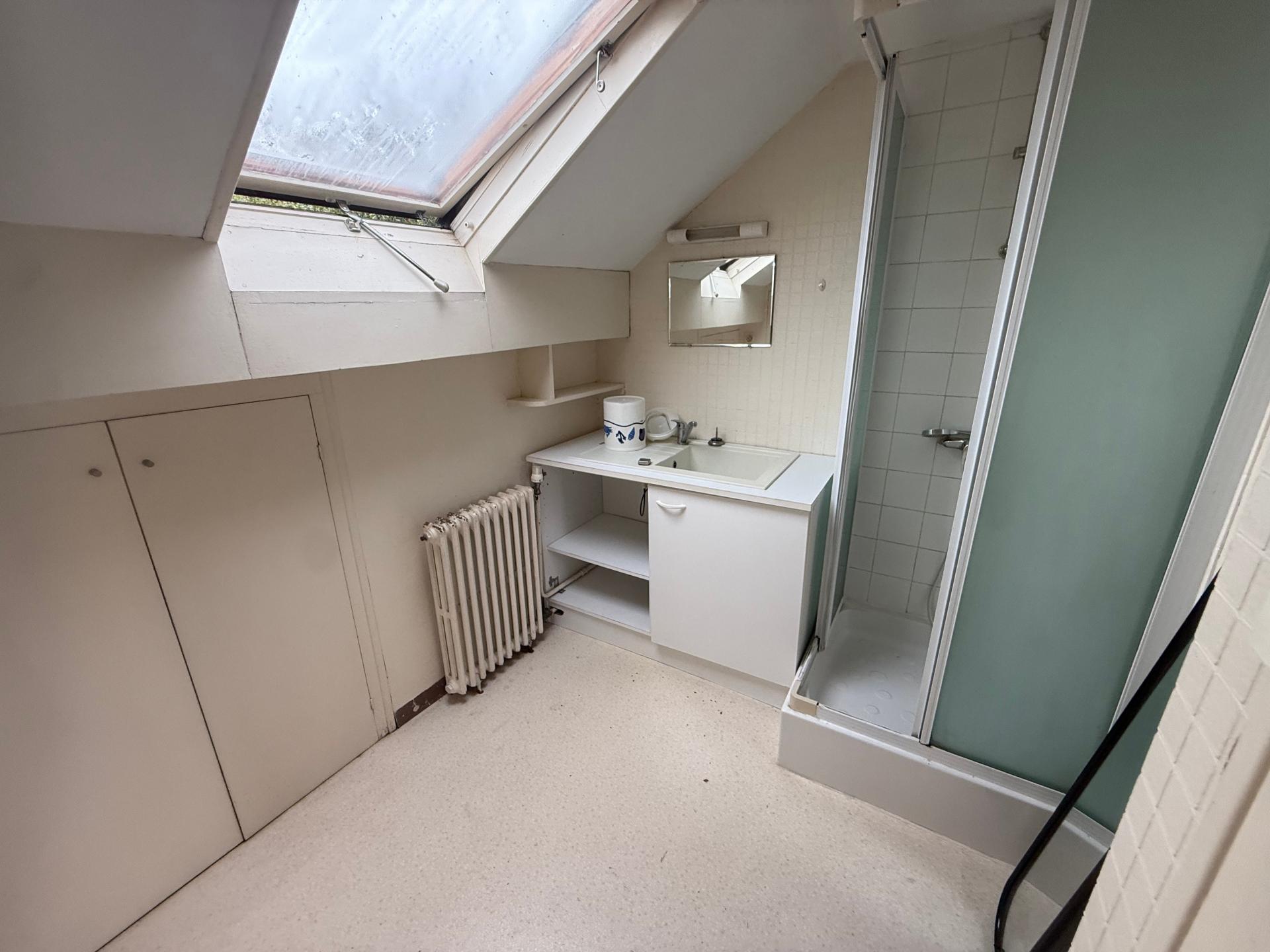 Miniature photo - 4 / 10