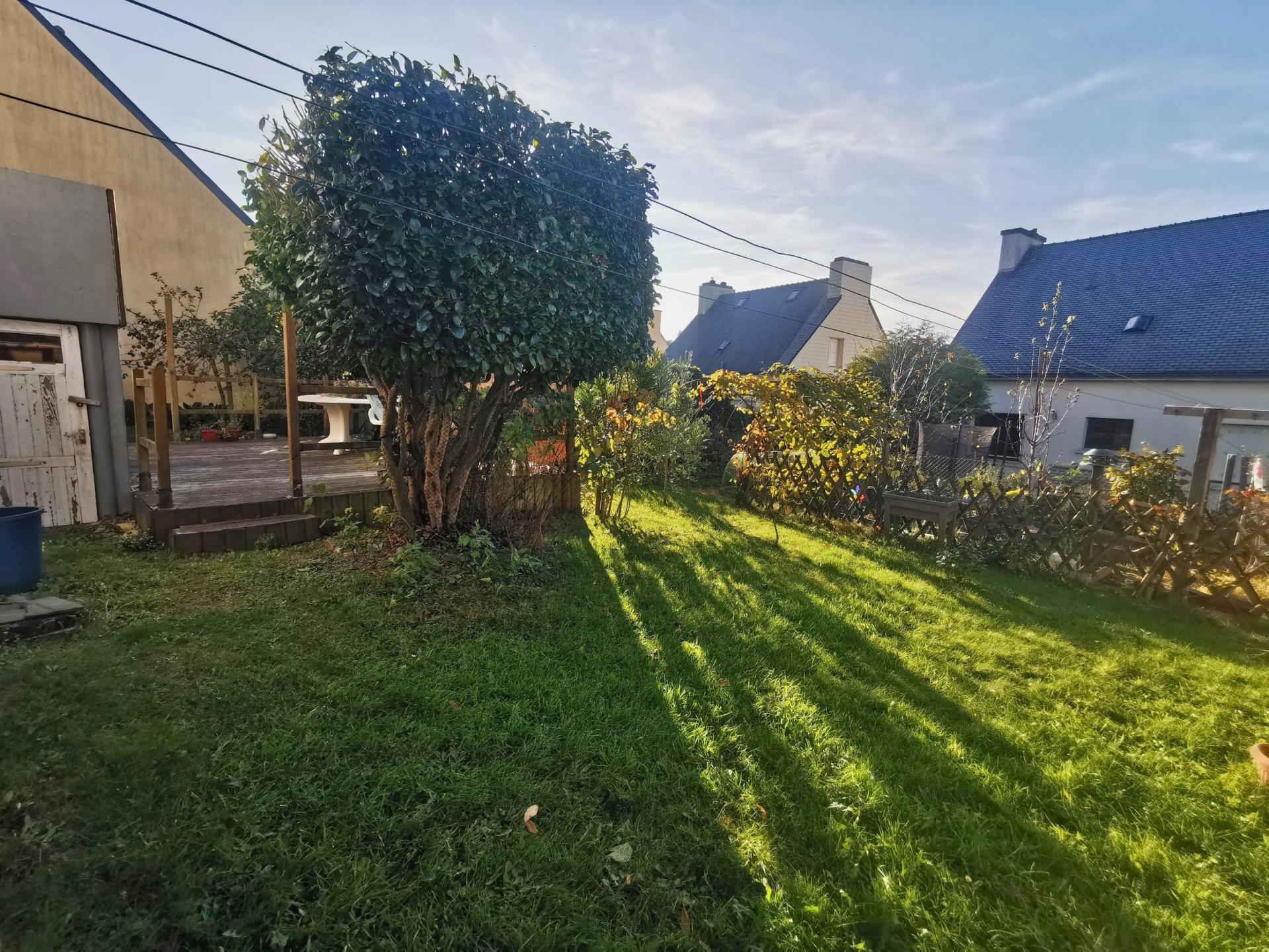 Miniature photo - 3 / 13