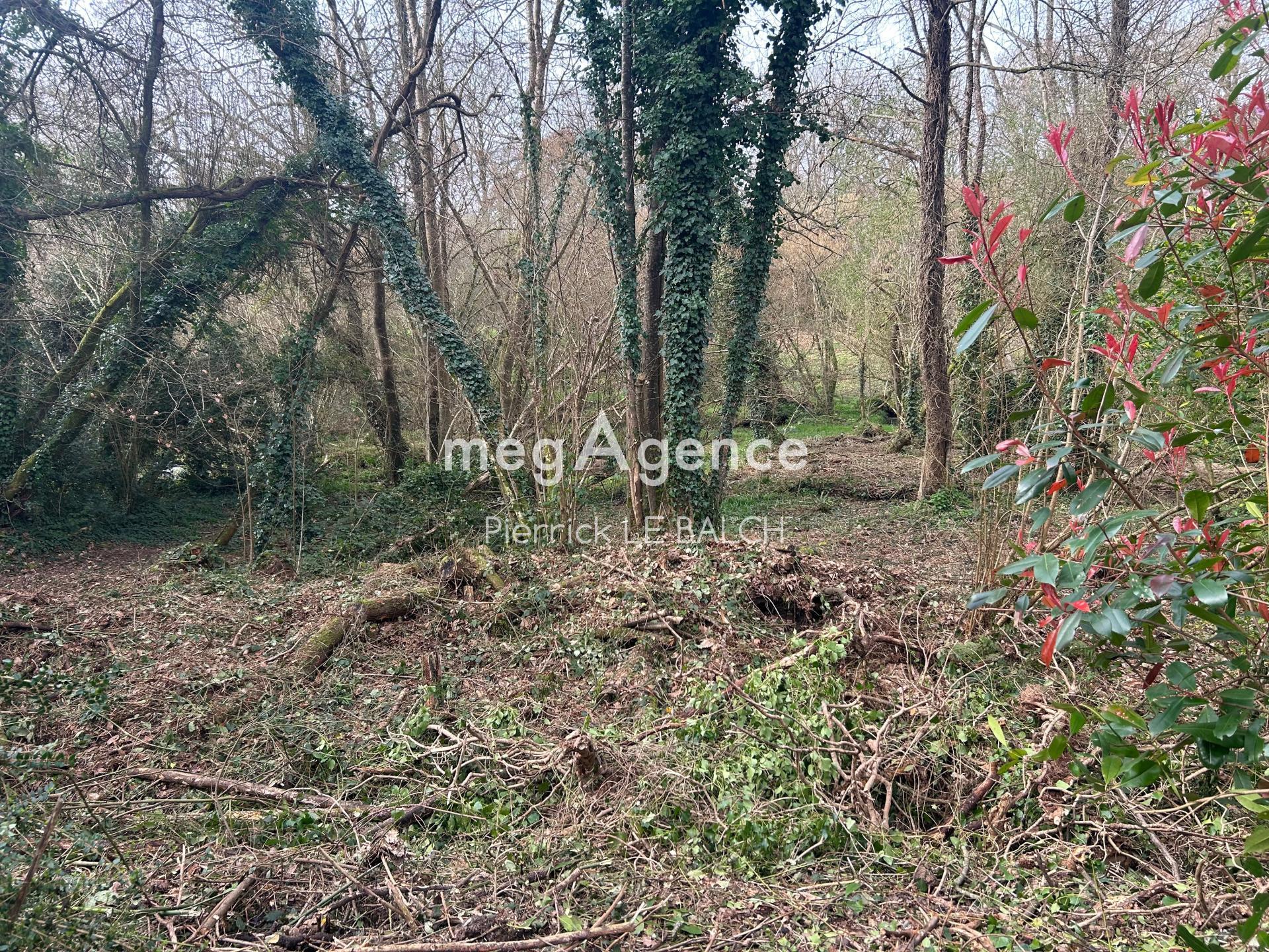 Miniature photo - 13 / 17