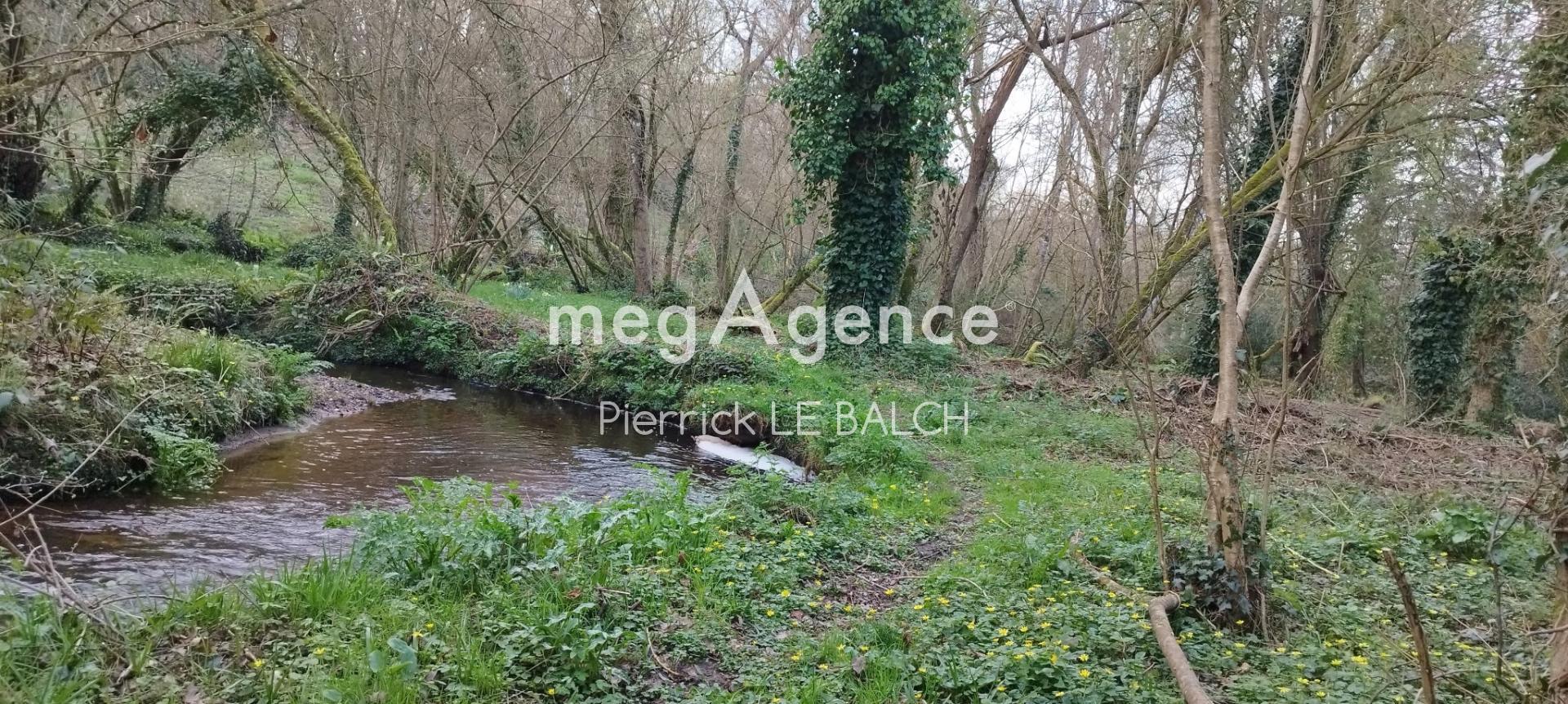 Miniature photo - 17 / 17