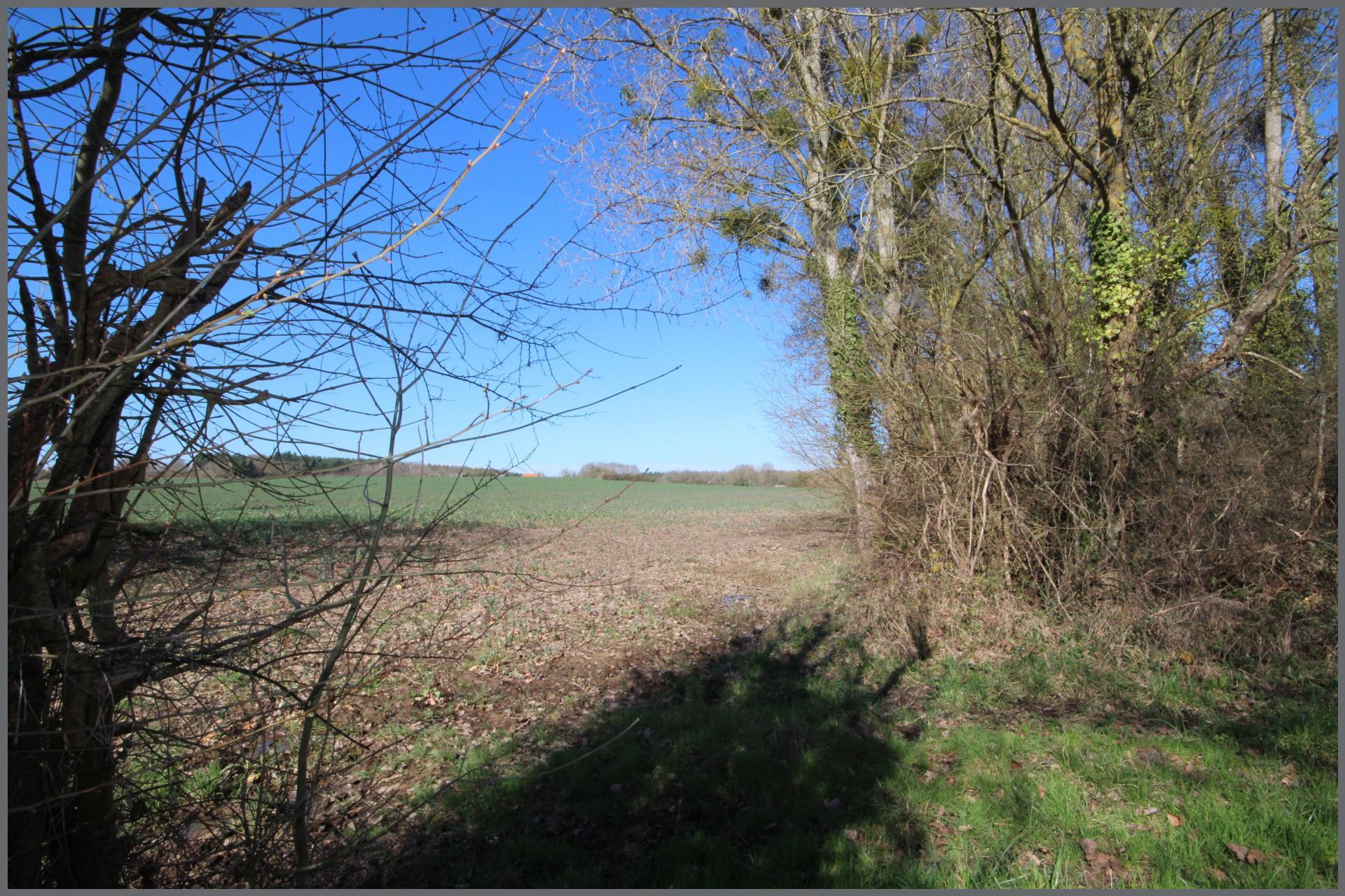 Miniature photo - 17 / 17