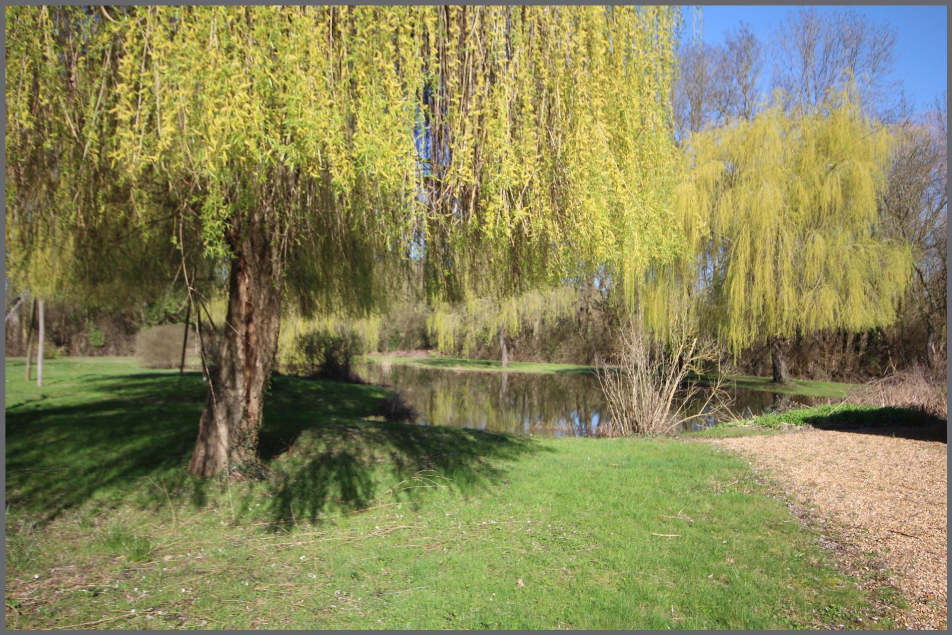 Miniature photo - 2 / 17