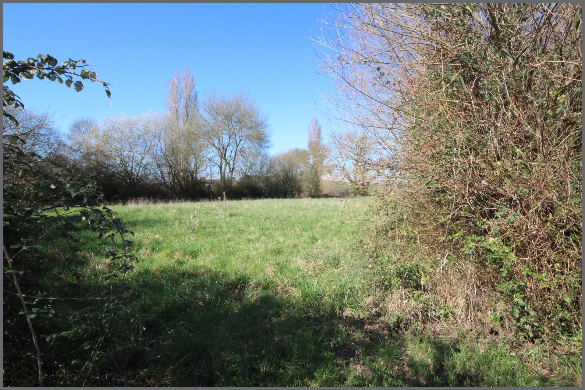 Miniature photo - 16 / 17