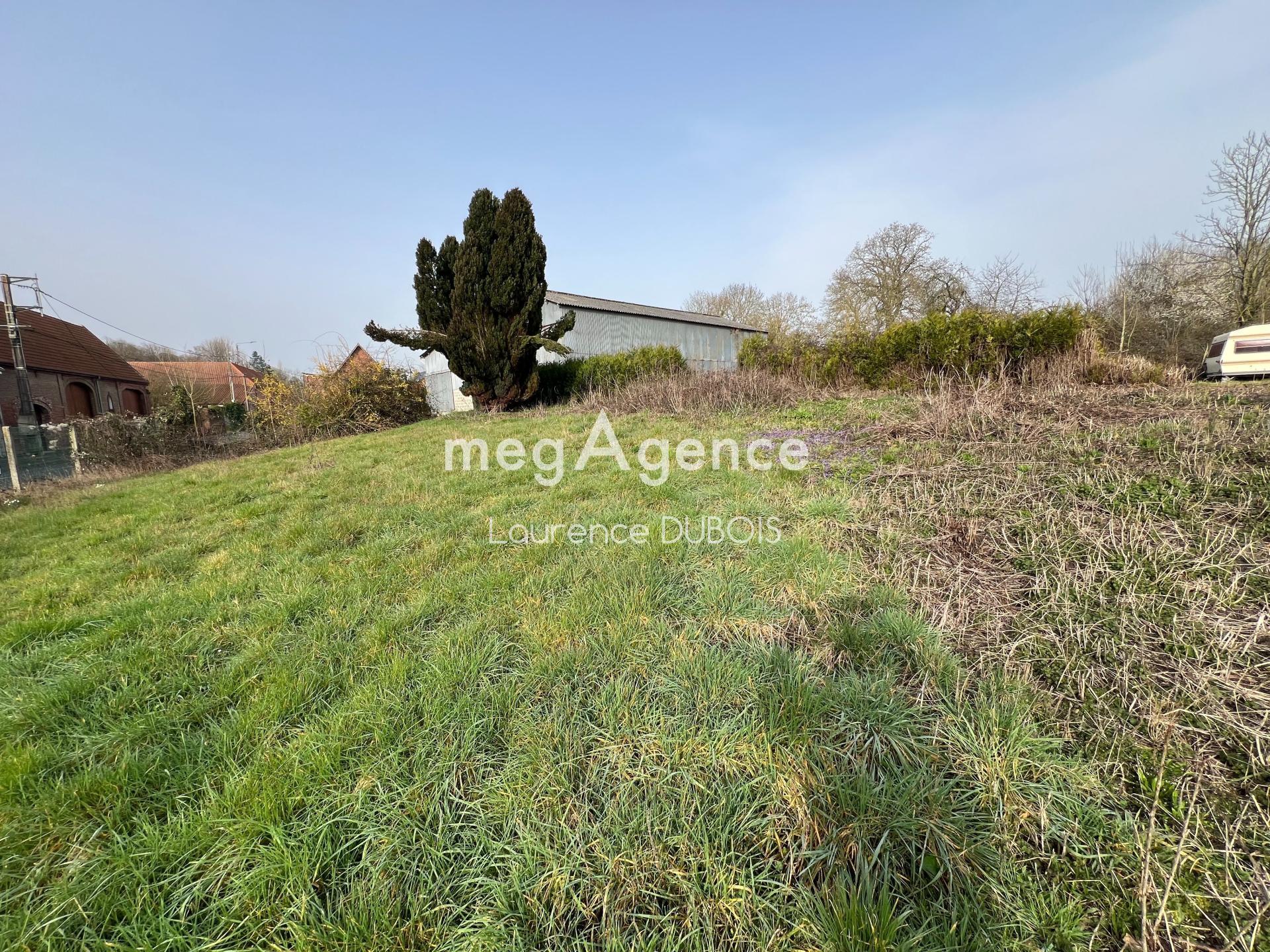 Miniature photo - 3 / 4