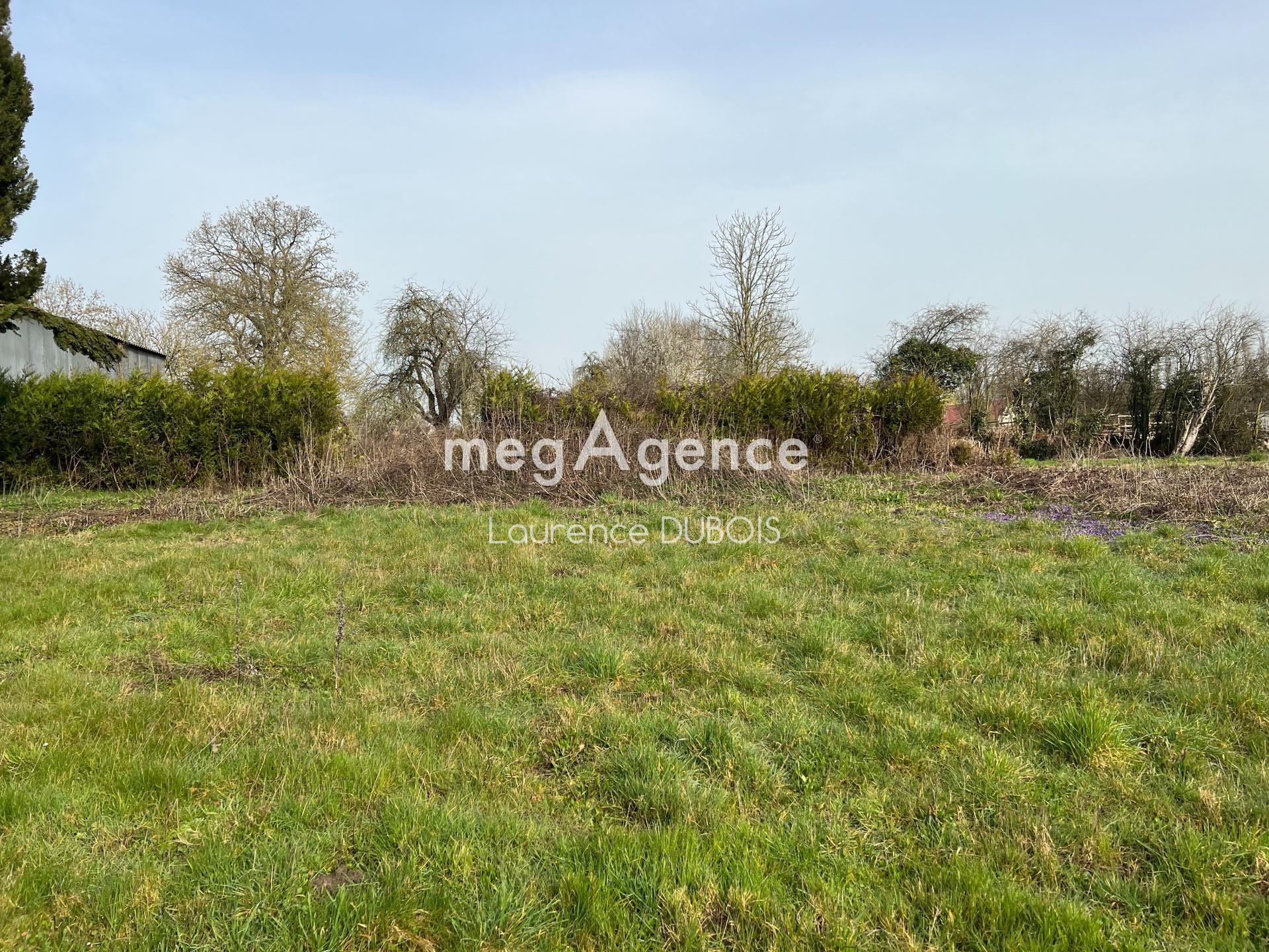 Miniature photo - 2 / 4