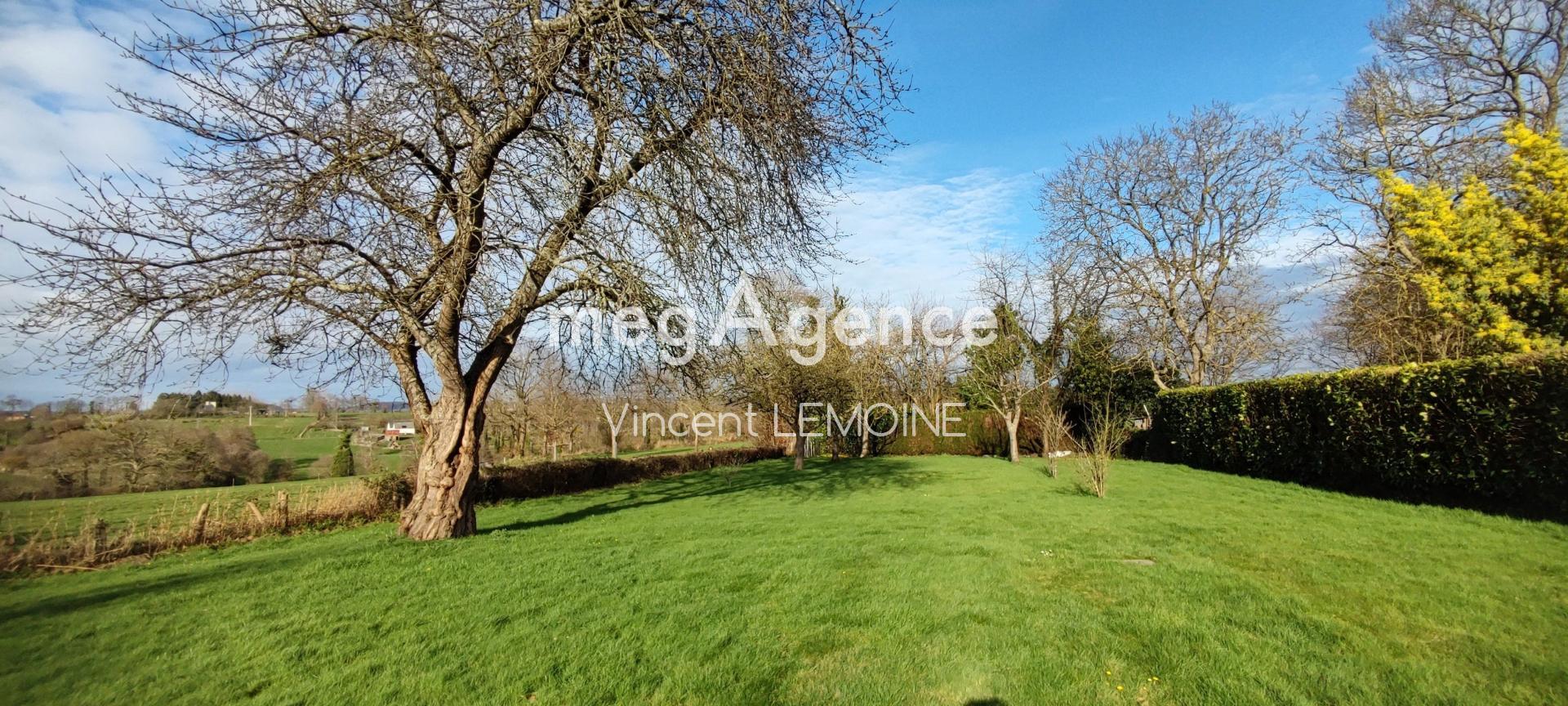 Miniature photo - 17 / 17