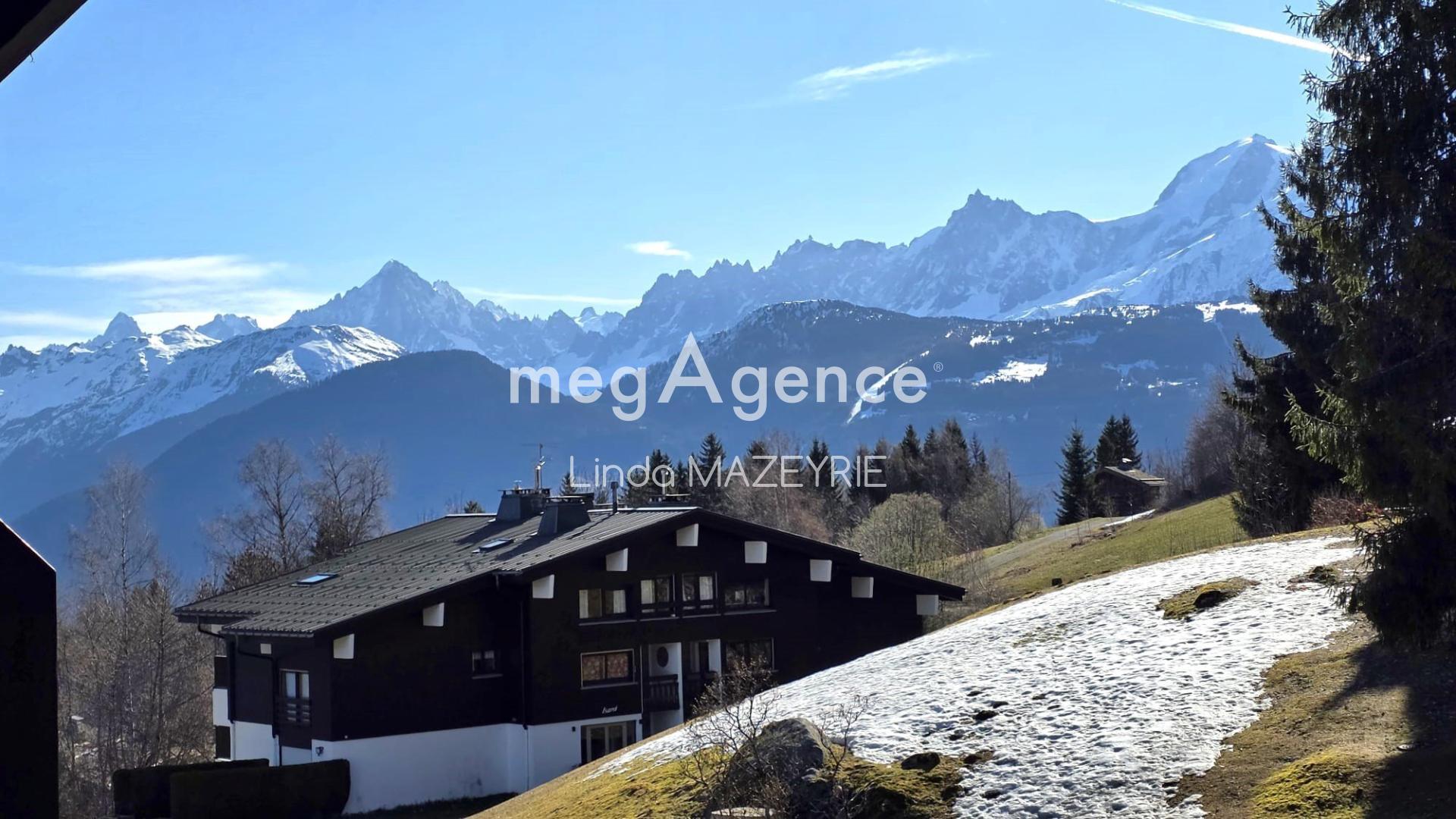 Miniature photo - 11 / 11