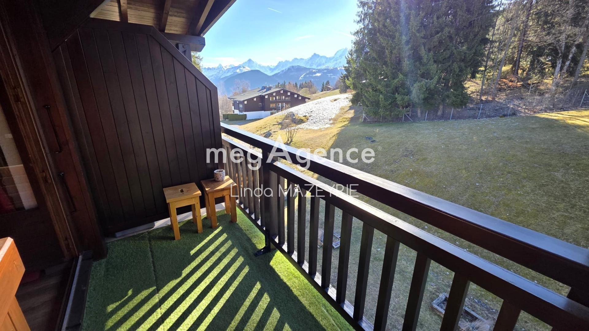 Miniature photo - 4 / 11