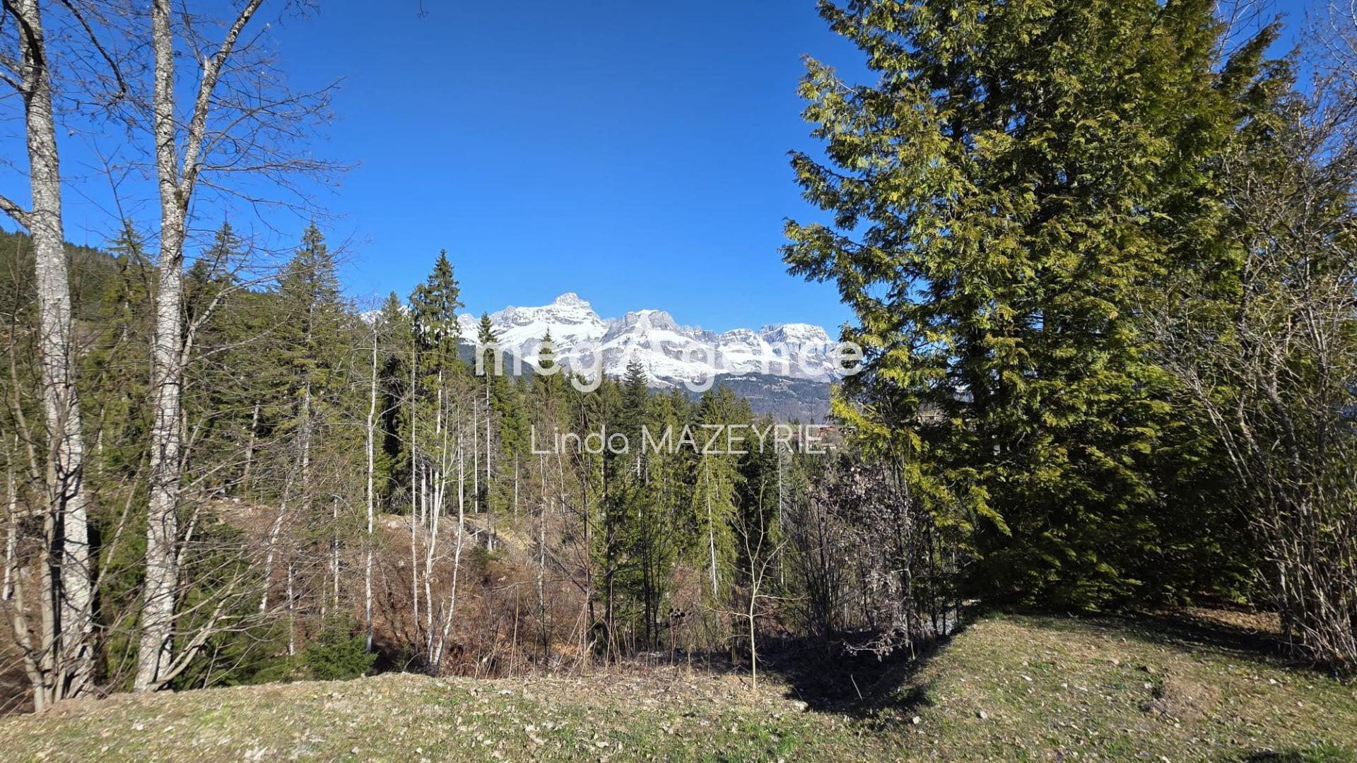 Miniature photo - 10 / 11