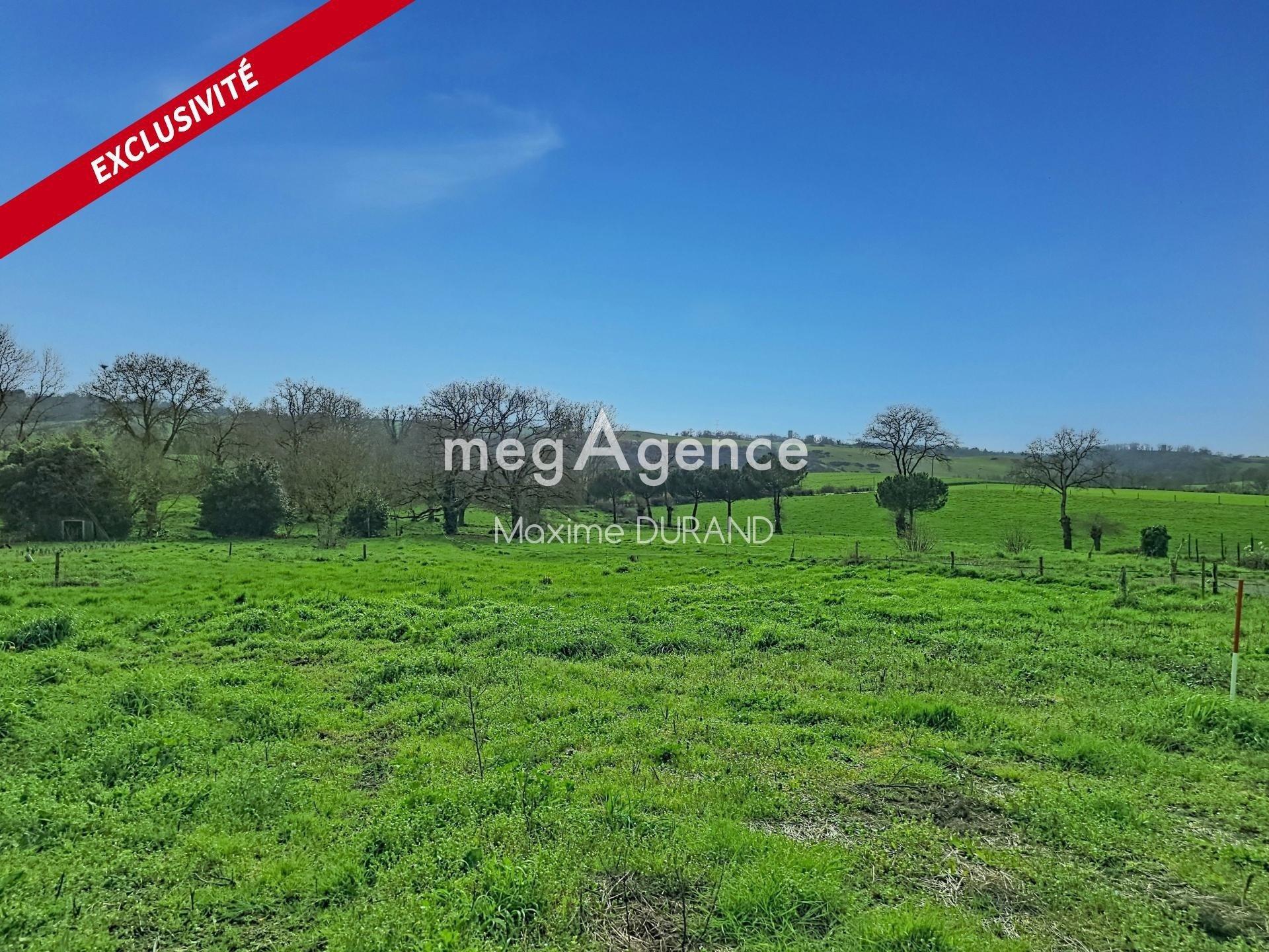 Miniature photo - 2 / 12