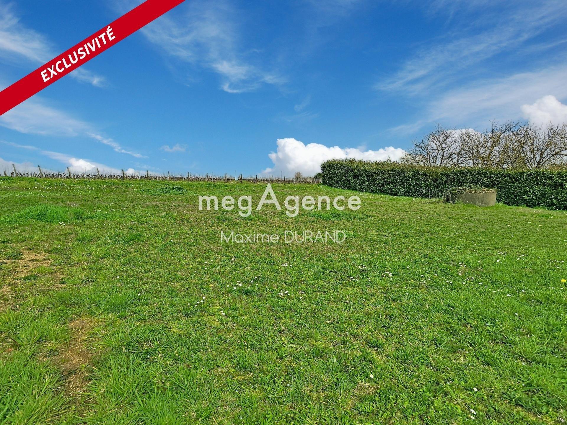 Miniature photo - 12 / 12