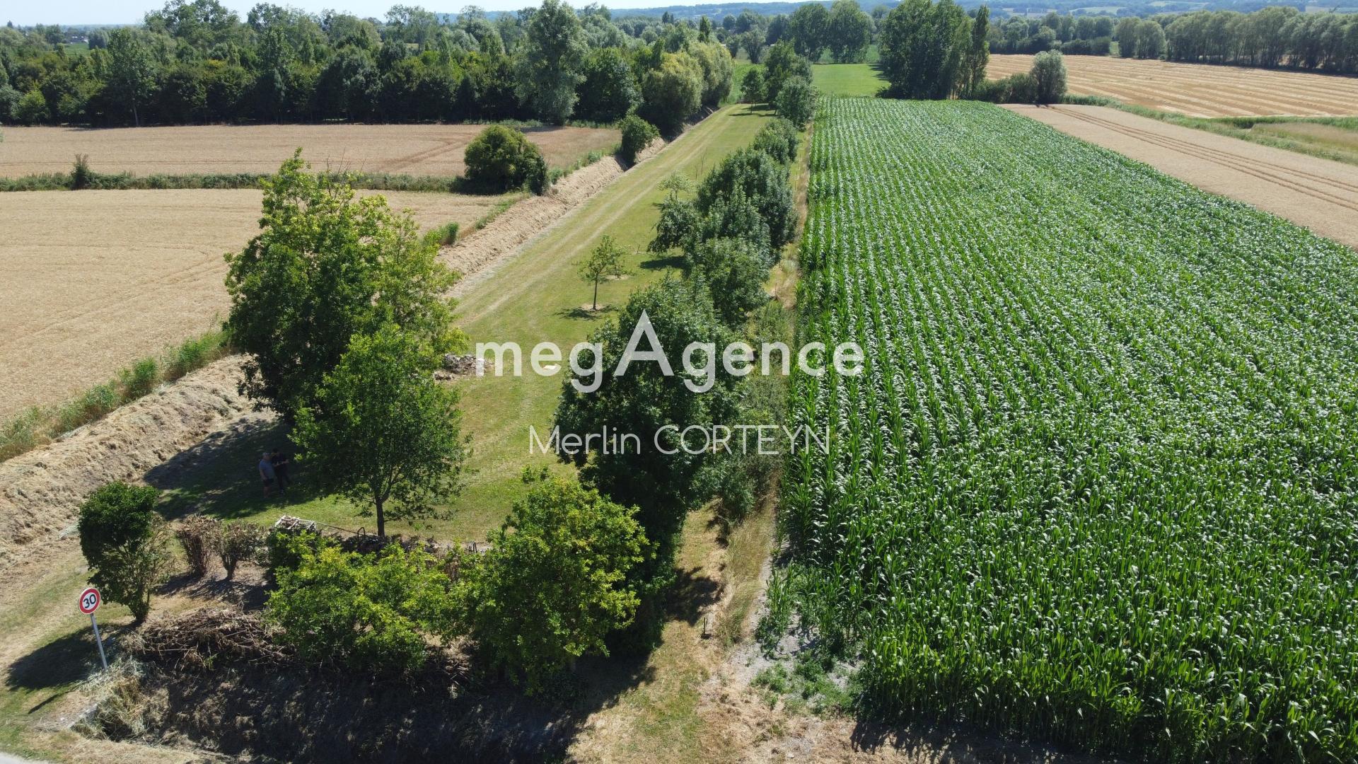 Miniature photo - 10 / 13