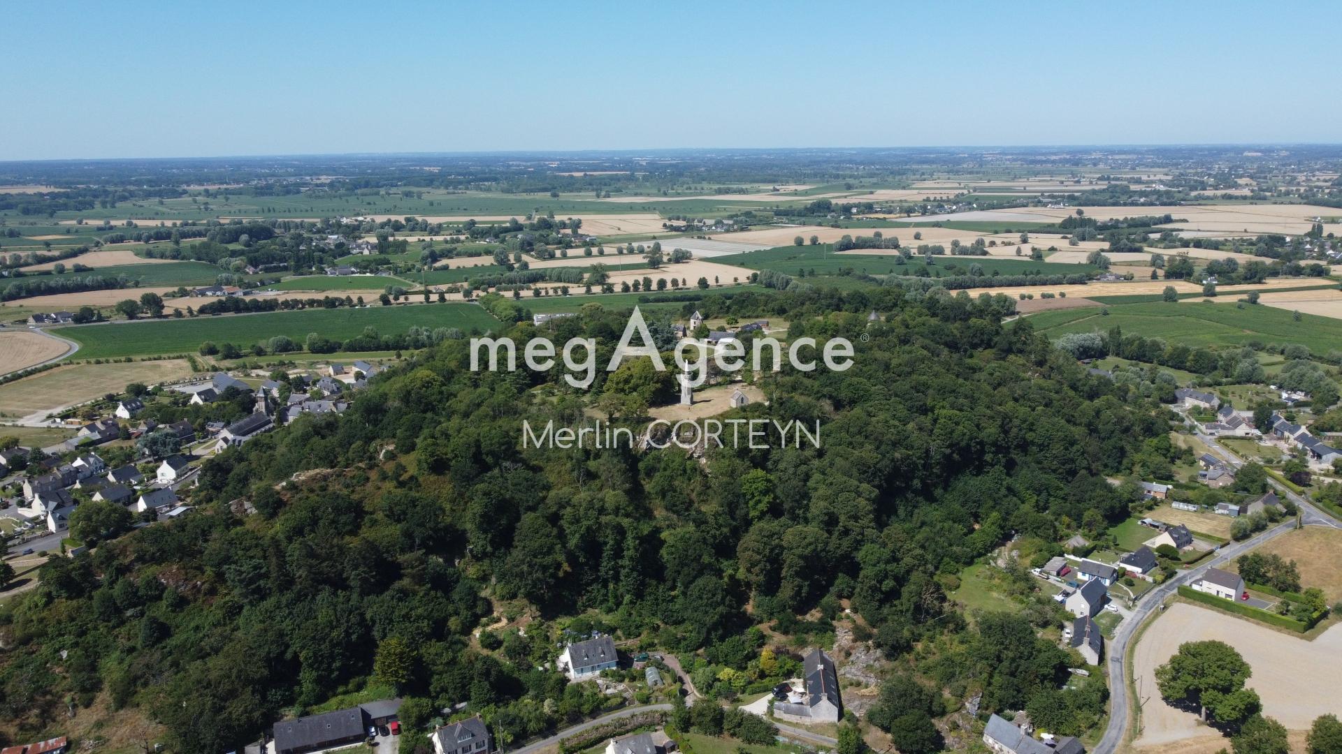 Miniature photo - 12 / 13