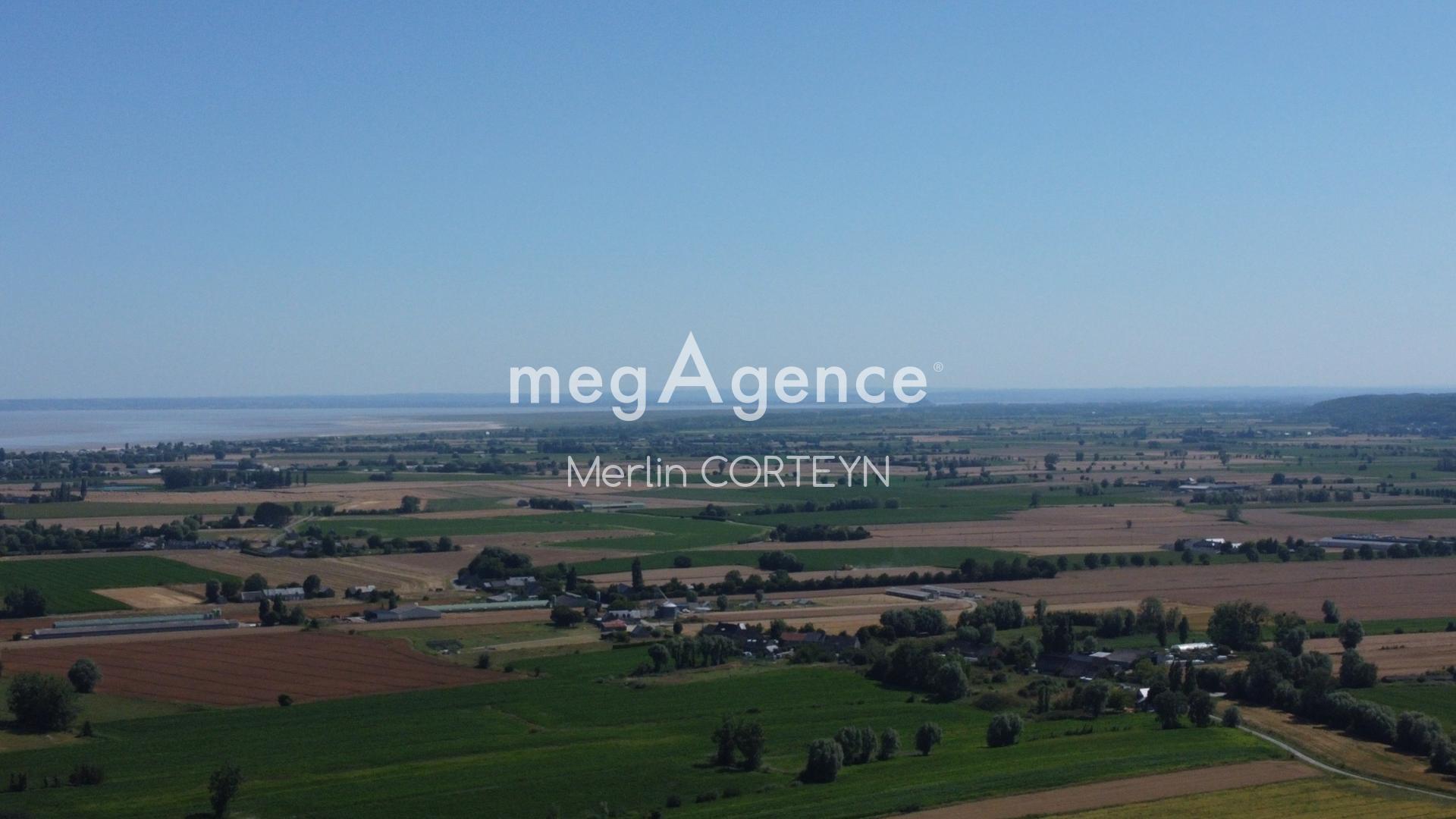 Miniature photo - 13 / 13