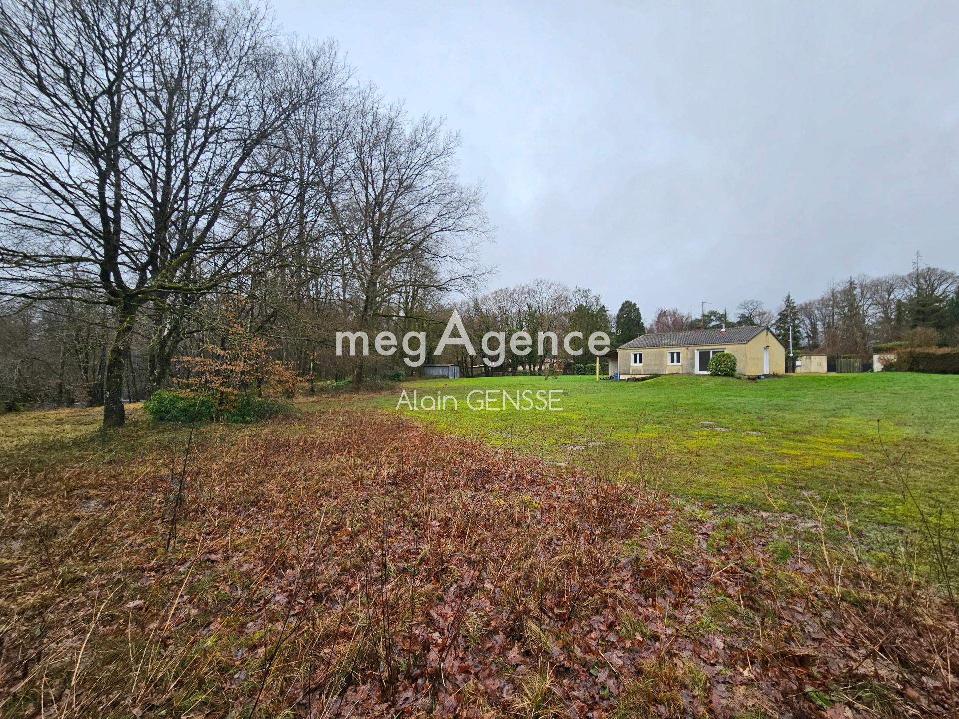 Miniature photo - 9 / 10