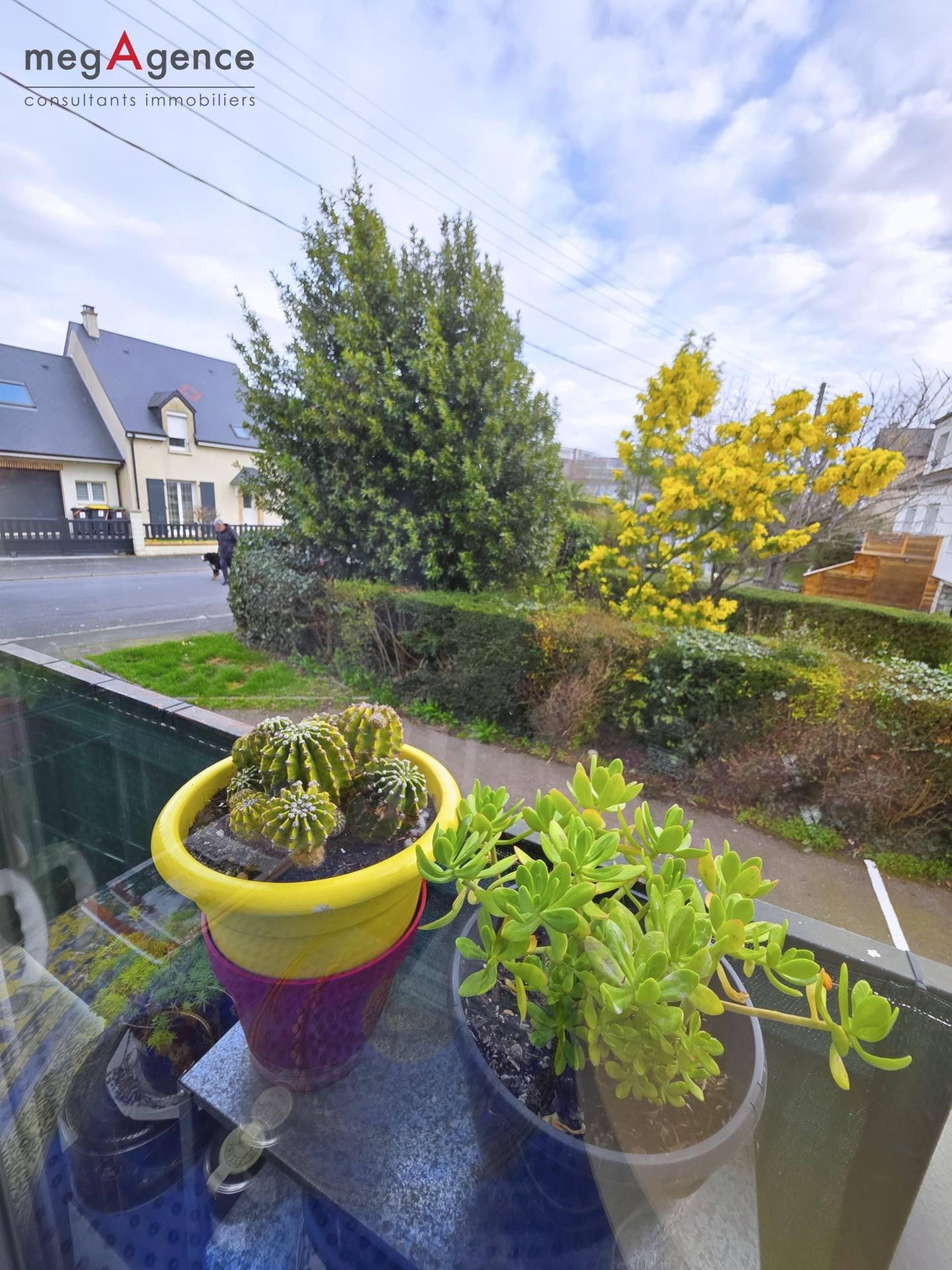 Miniature photo - 5 / 10