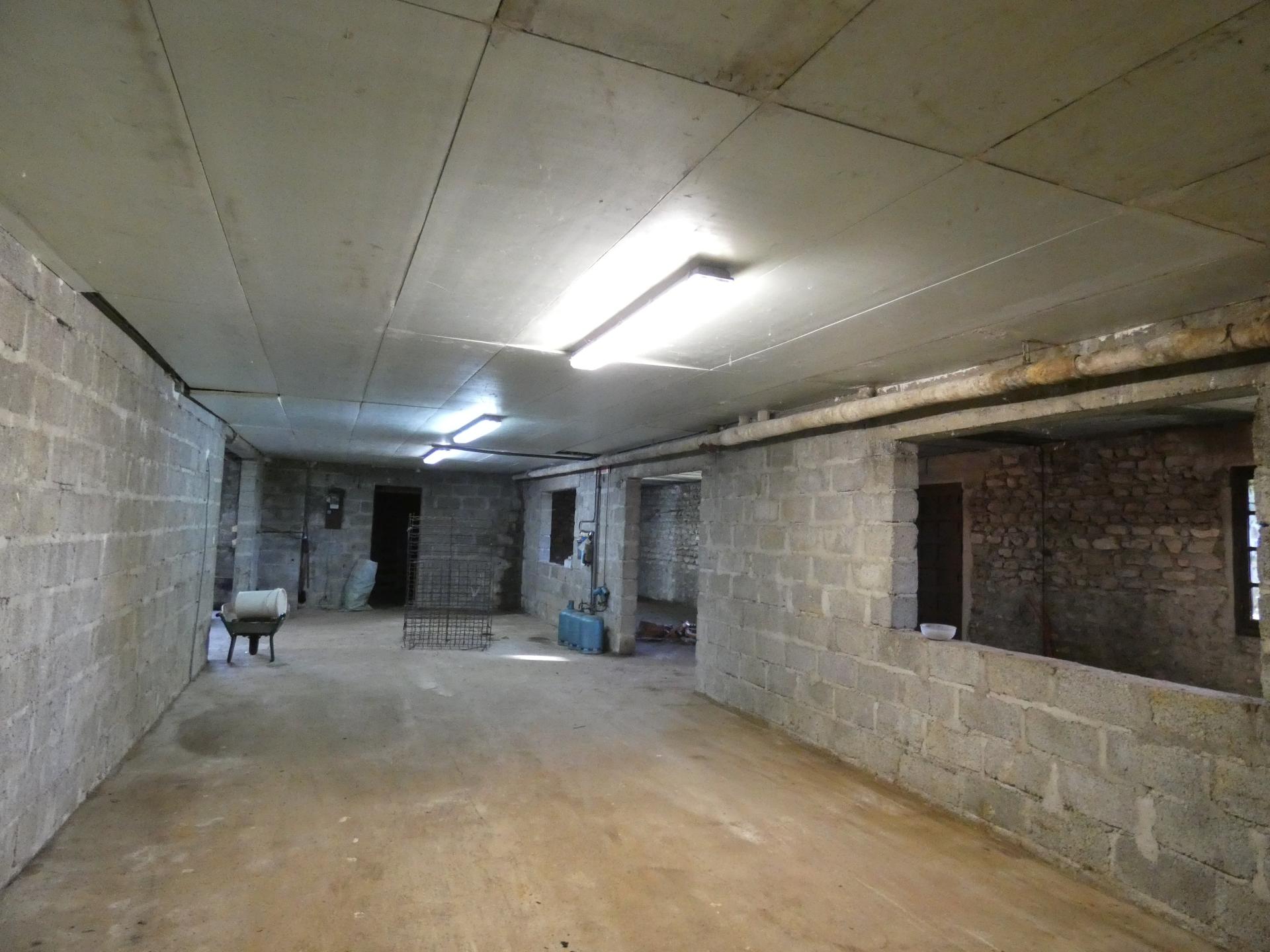 Miniature photo - 11 / 11