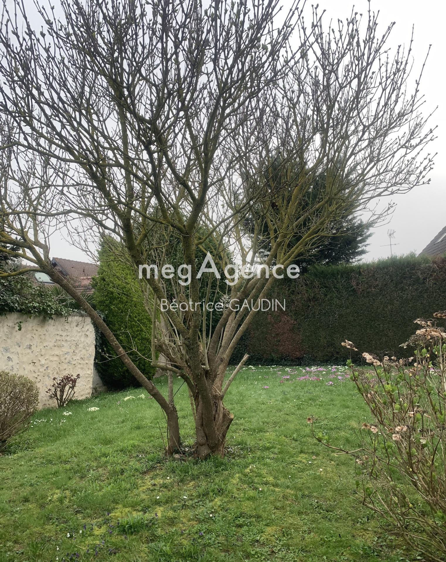 Miniature photo - 6 / 6