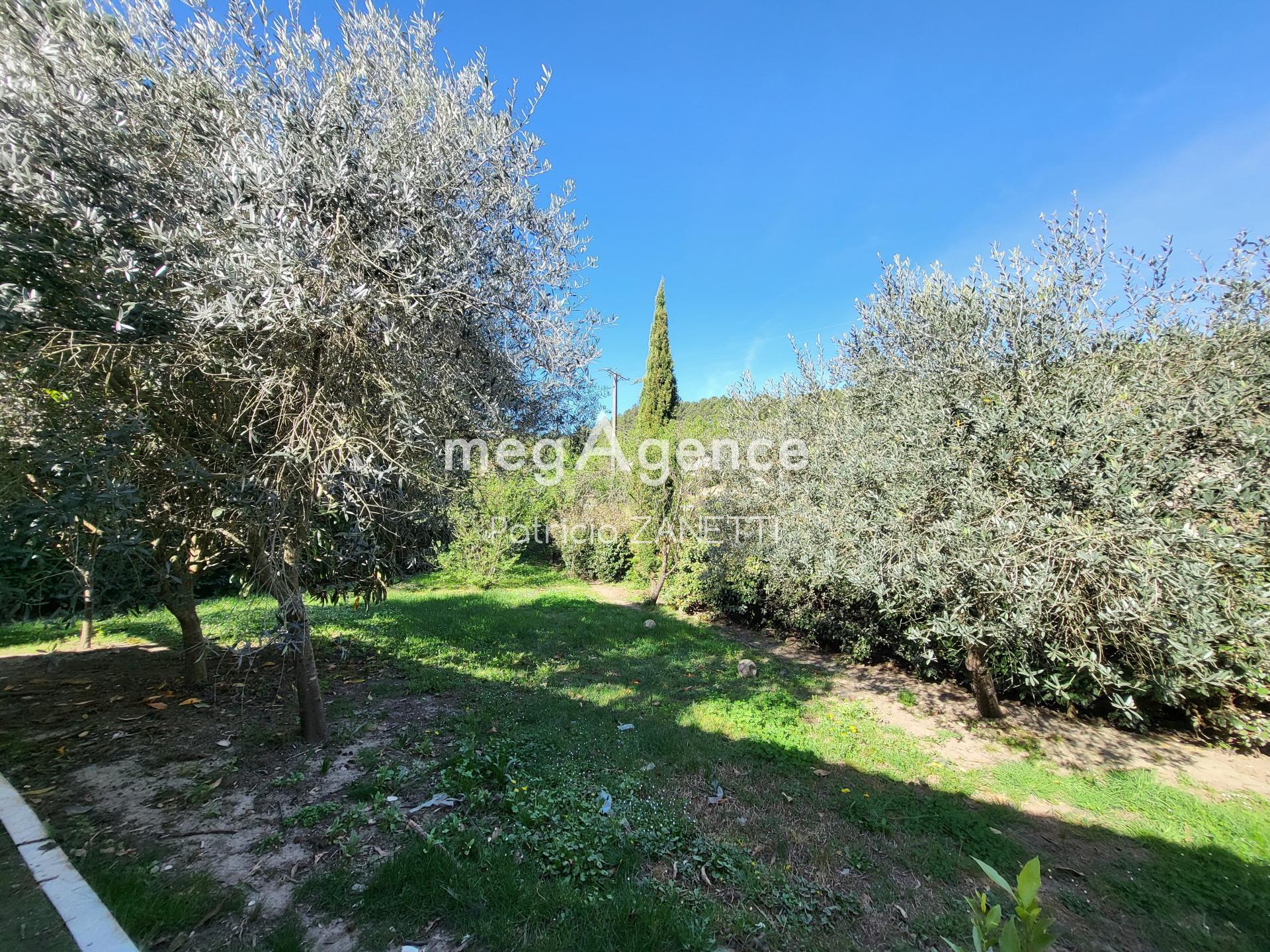 Miniature photo - 10 / 13