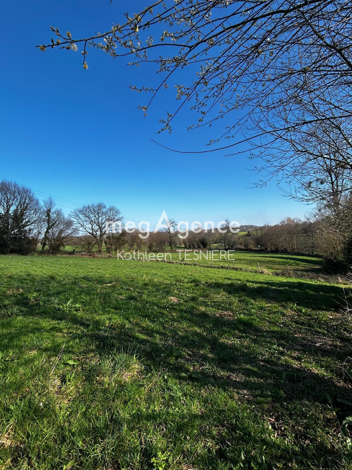 Miniature photo - 10 / 18