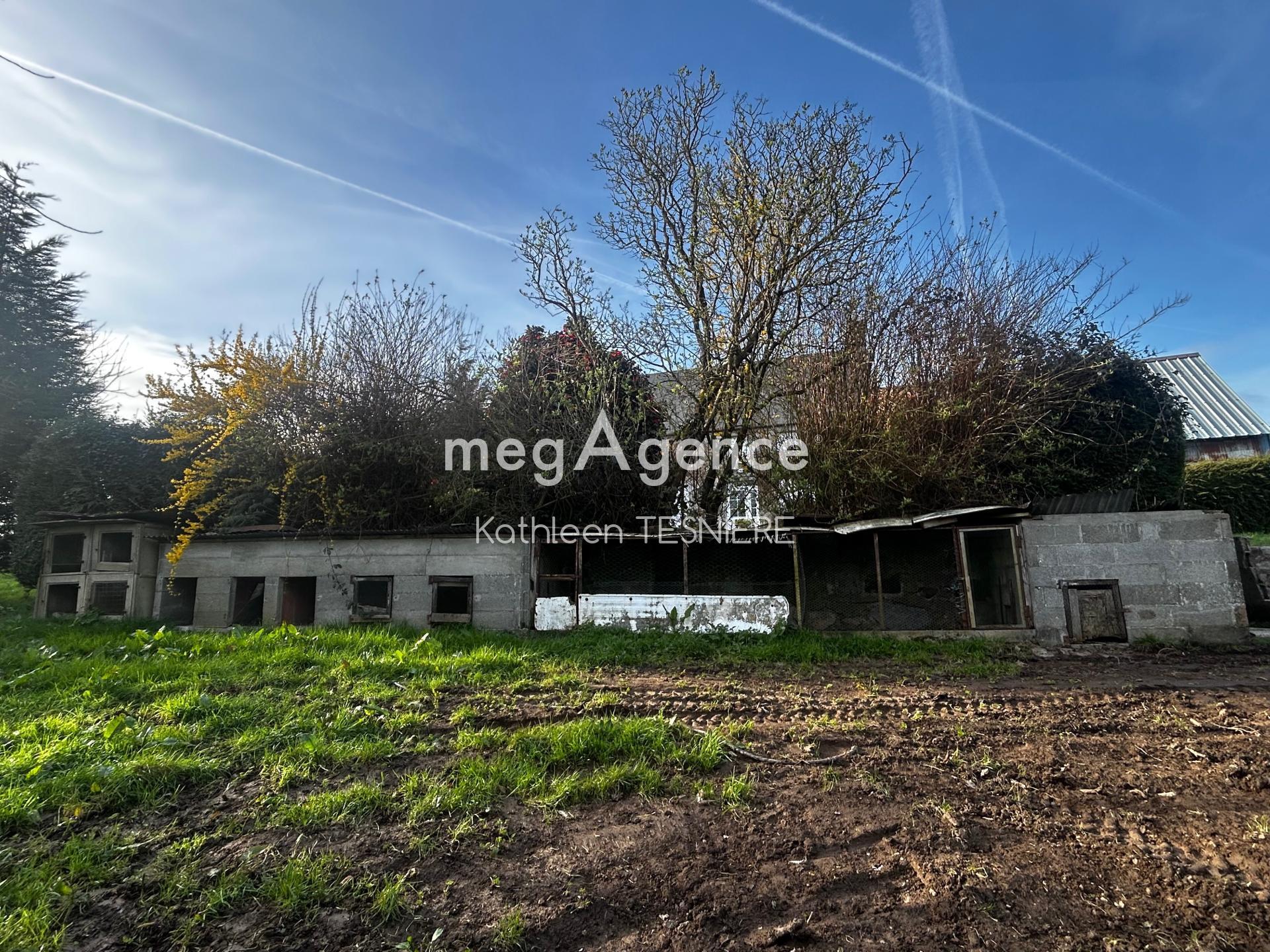 Miniature photo - 18 / 18