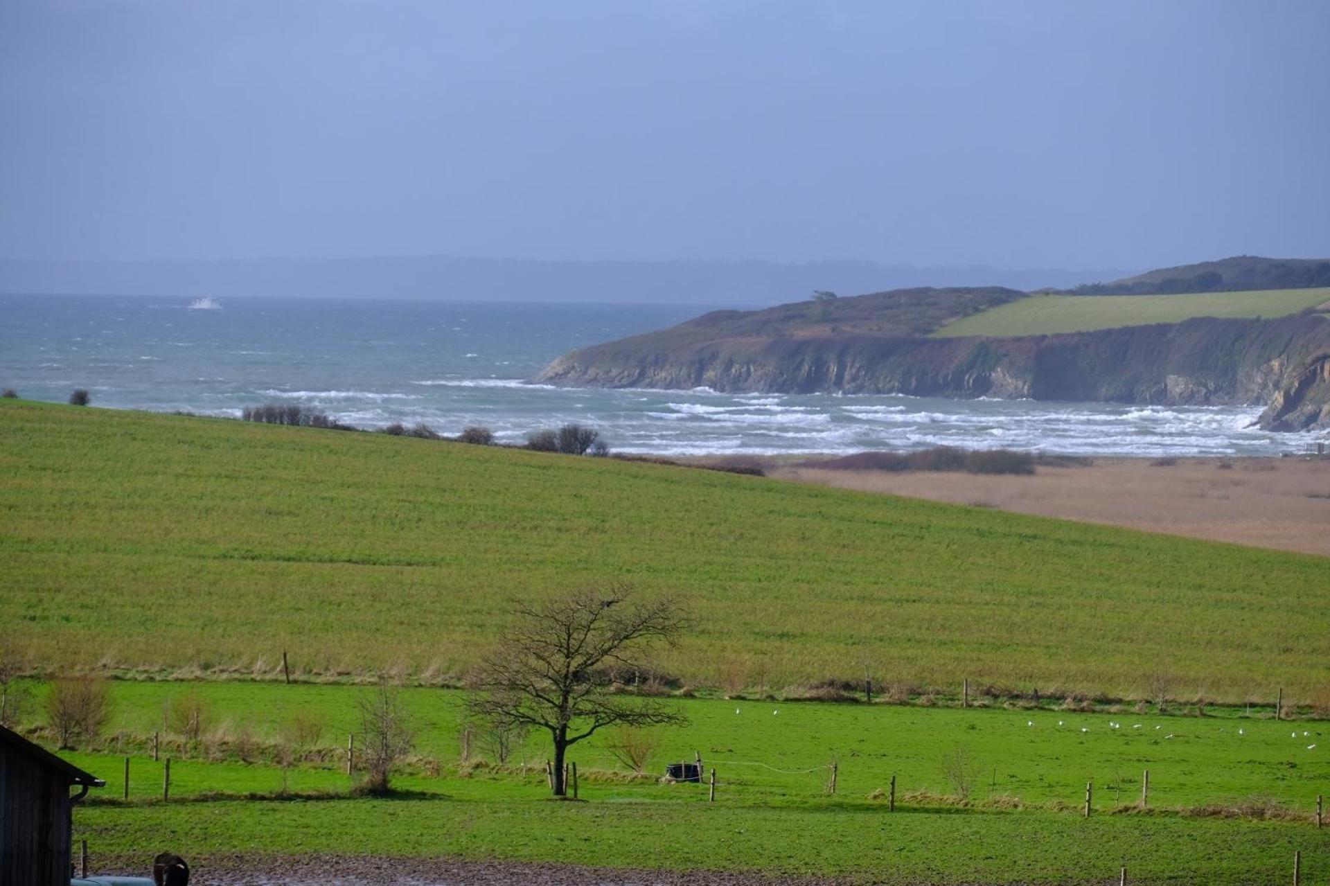 Miniature photo - 6 / 18