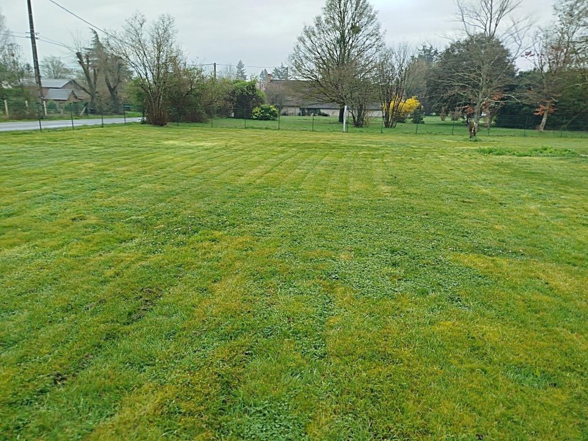 Miniature photo - 14 / 14