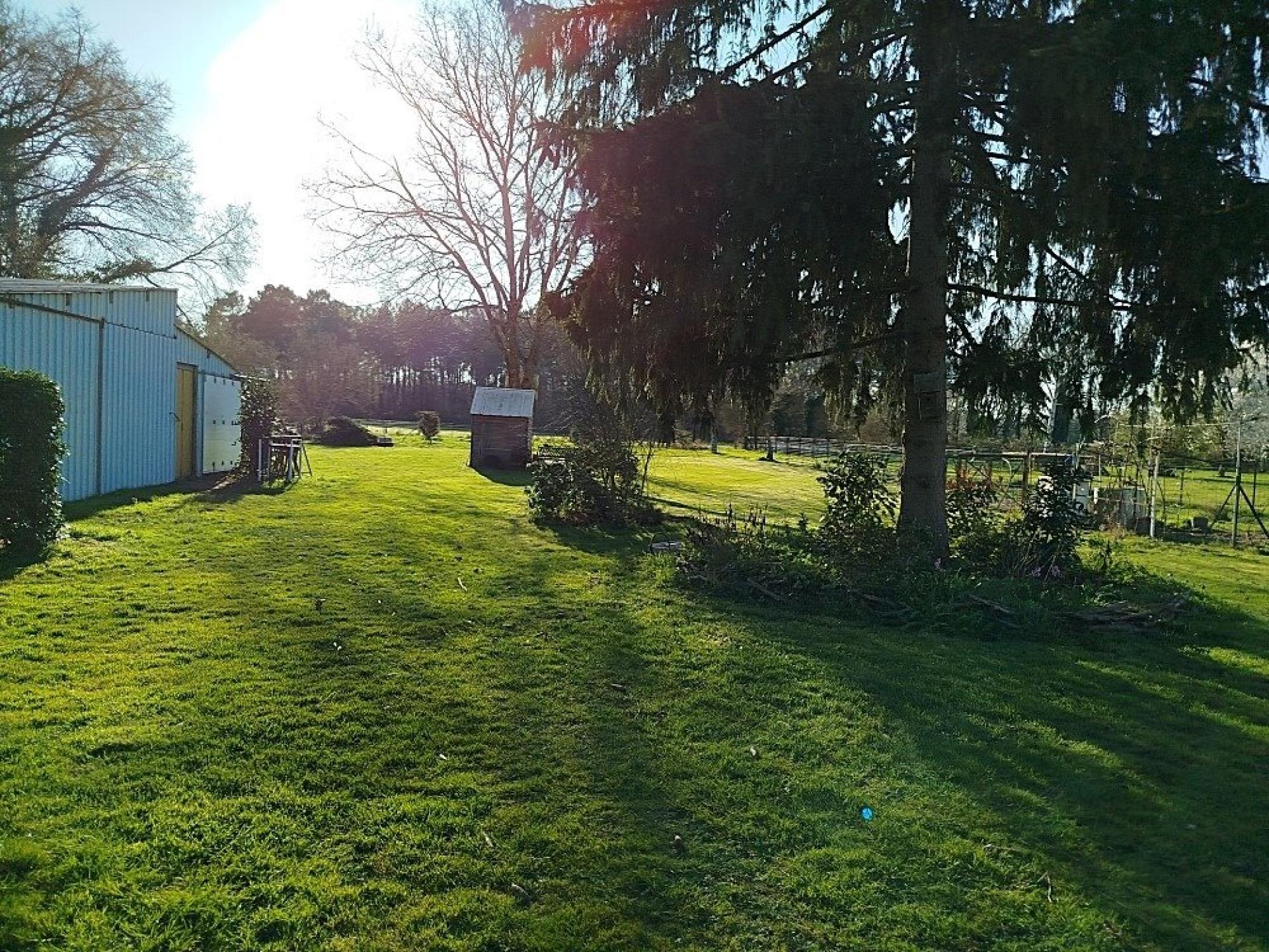 Miniature photo - 12 / 14