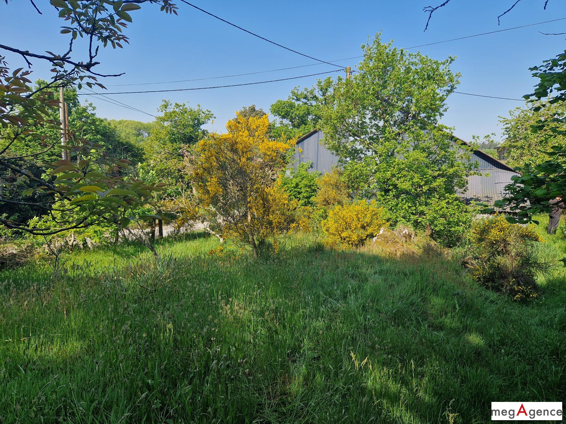 Miniature photo - 11 / 11