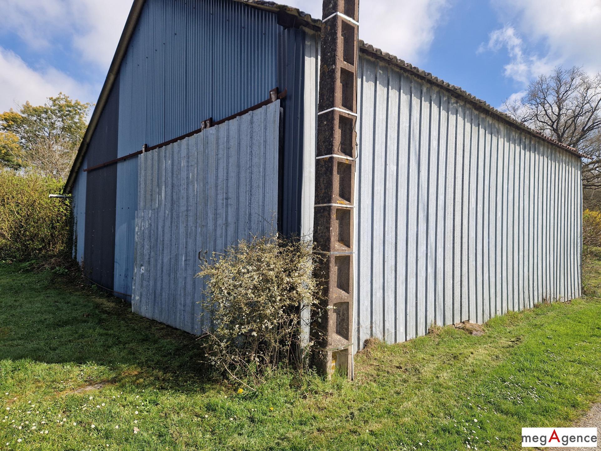 Miniature photo - 9 / 11