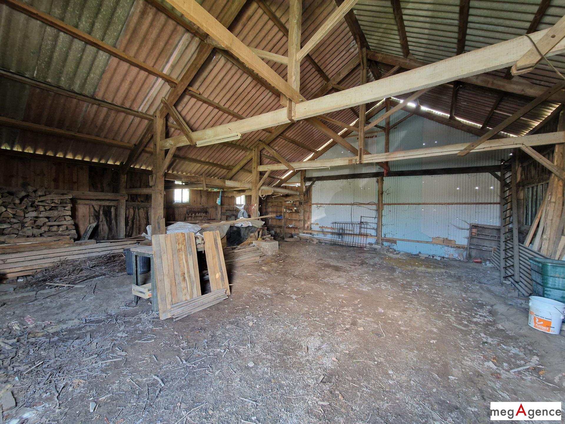 Miniature photo - 10 / 11