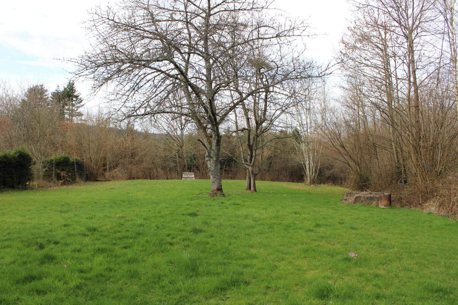 Miniature photo - 6 / 20