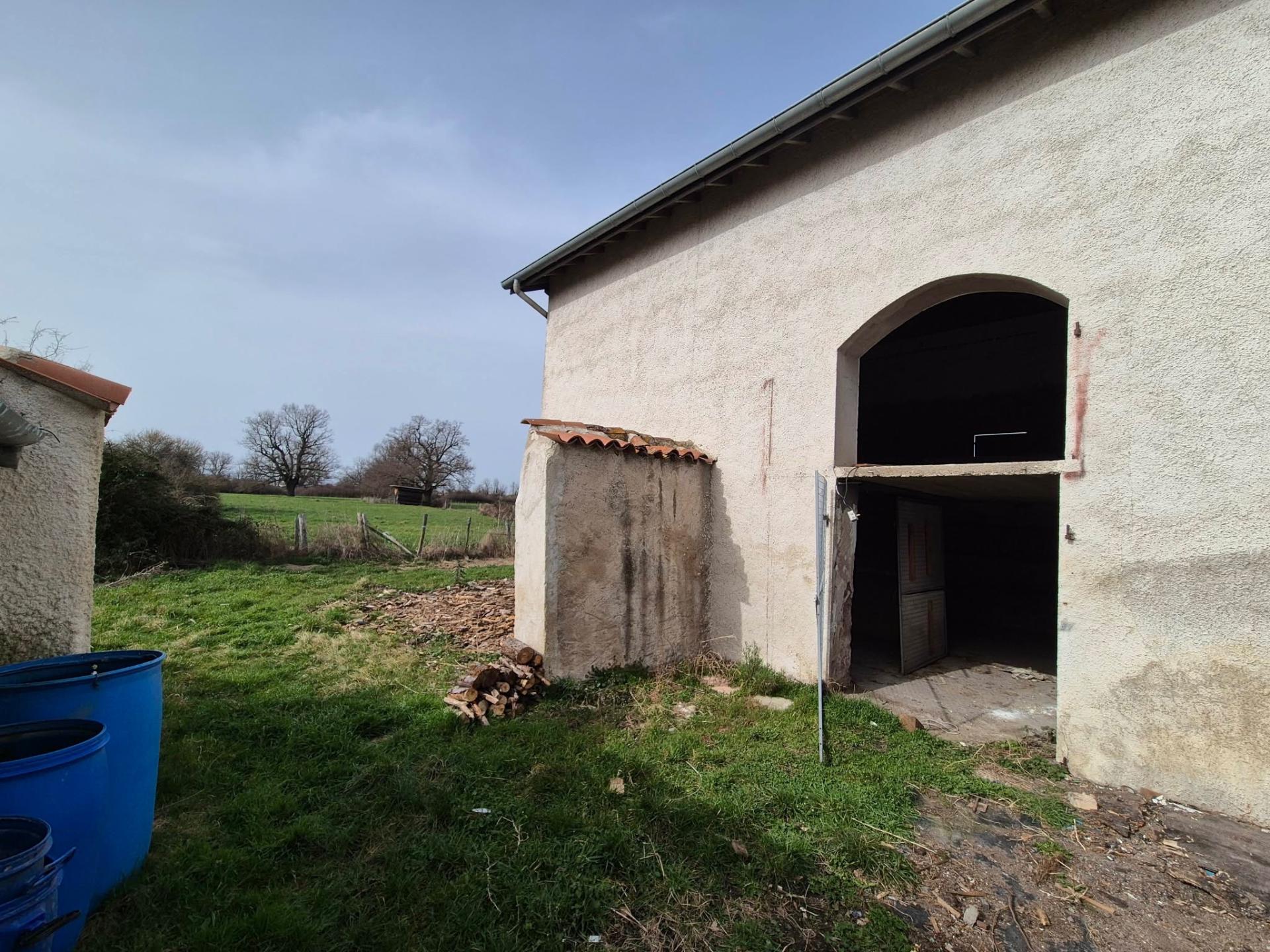 Miniature photo - 3 / 6