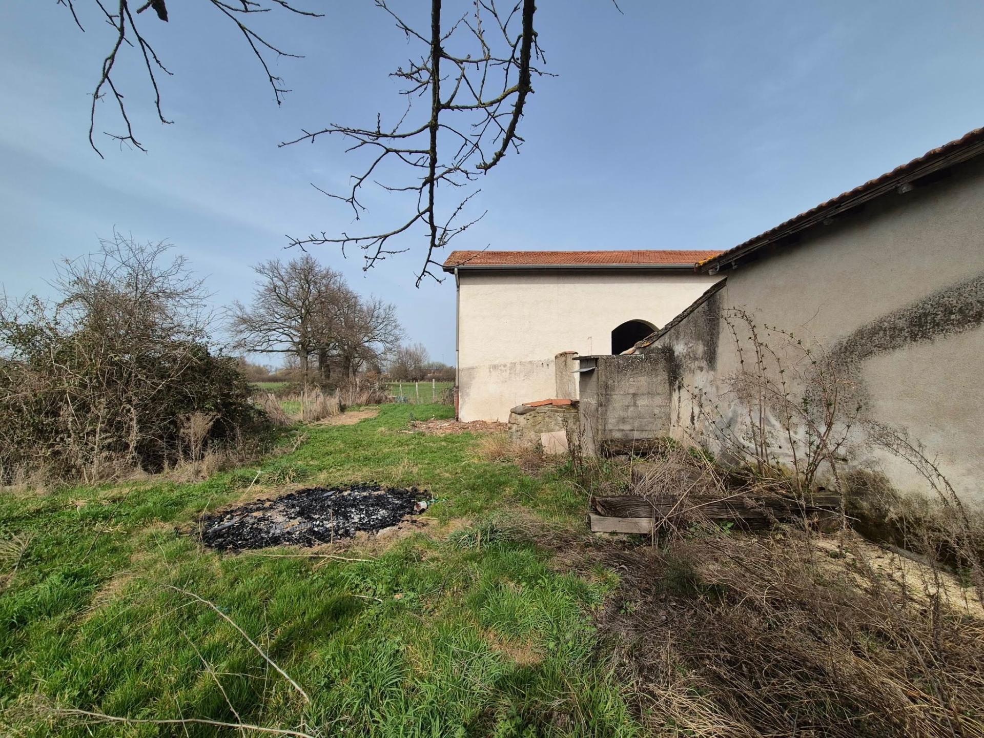 Miniature photo - 5 / 6