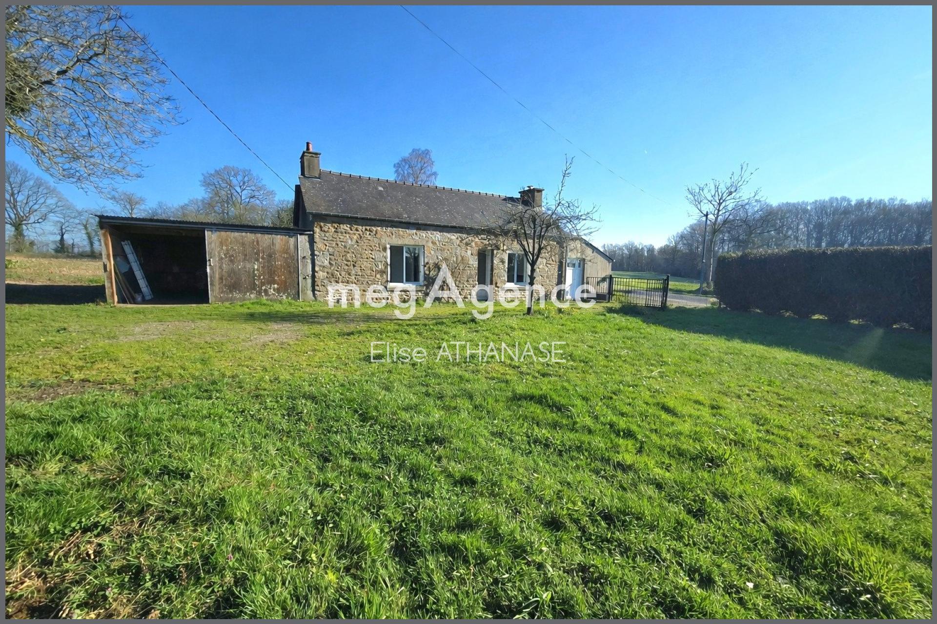 Miniature photo - 11 / 11