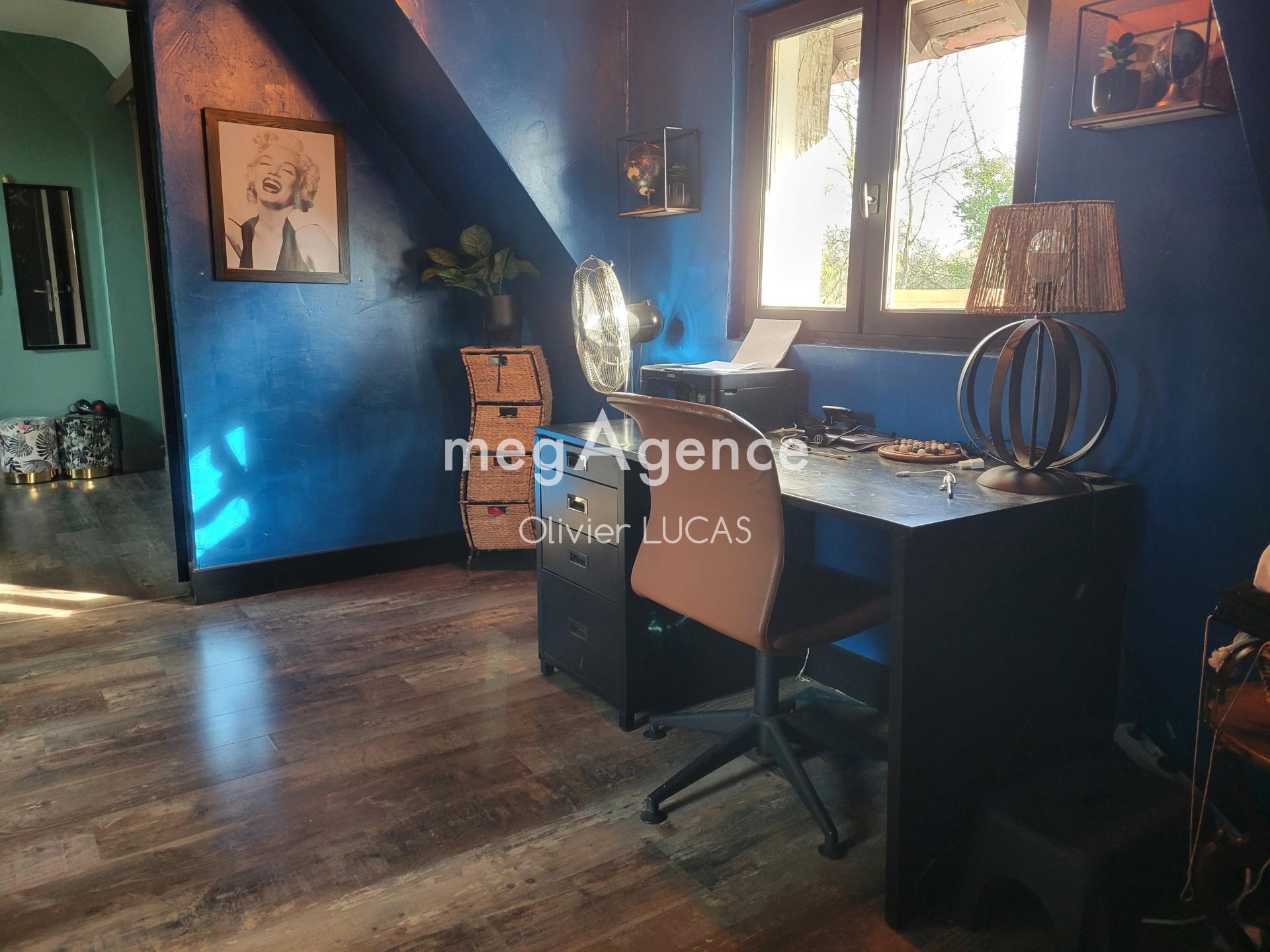 Miniature photo - 11 / 17