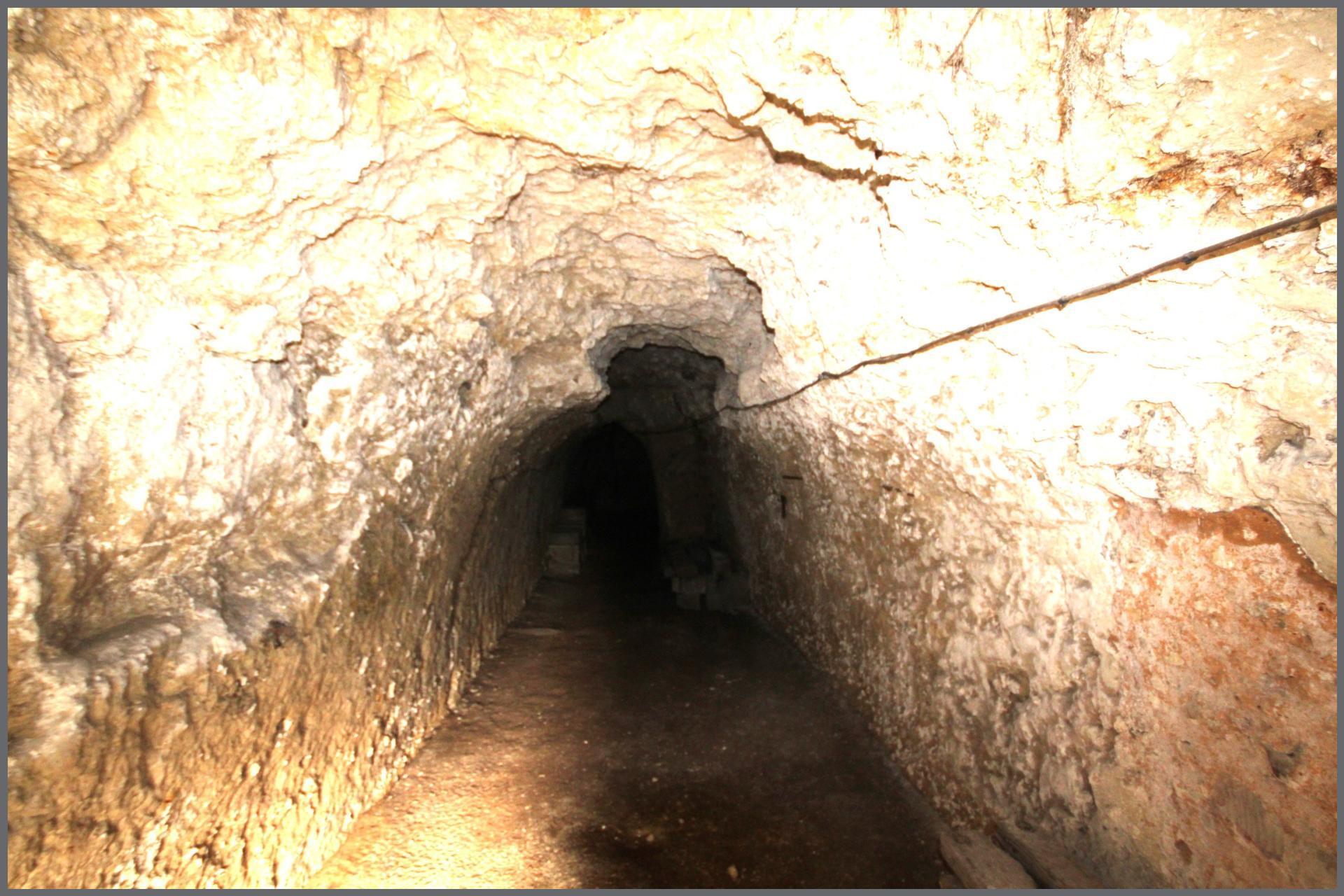 Miniature photo - 17 / 17