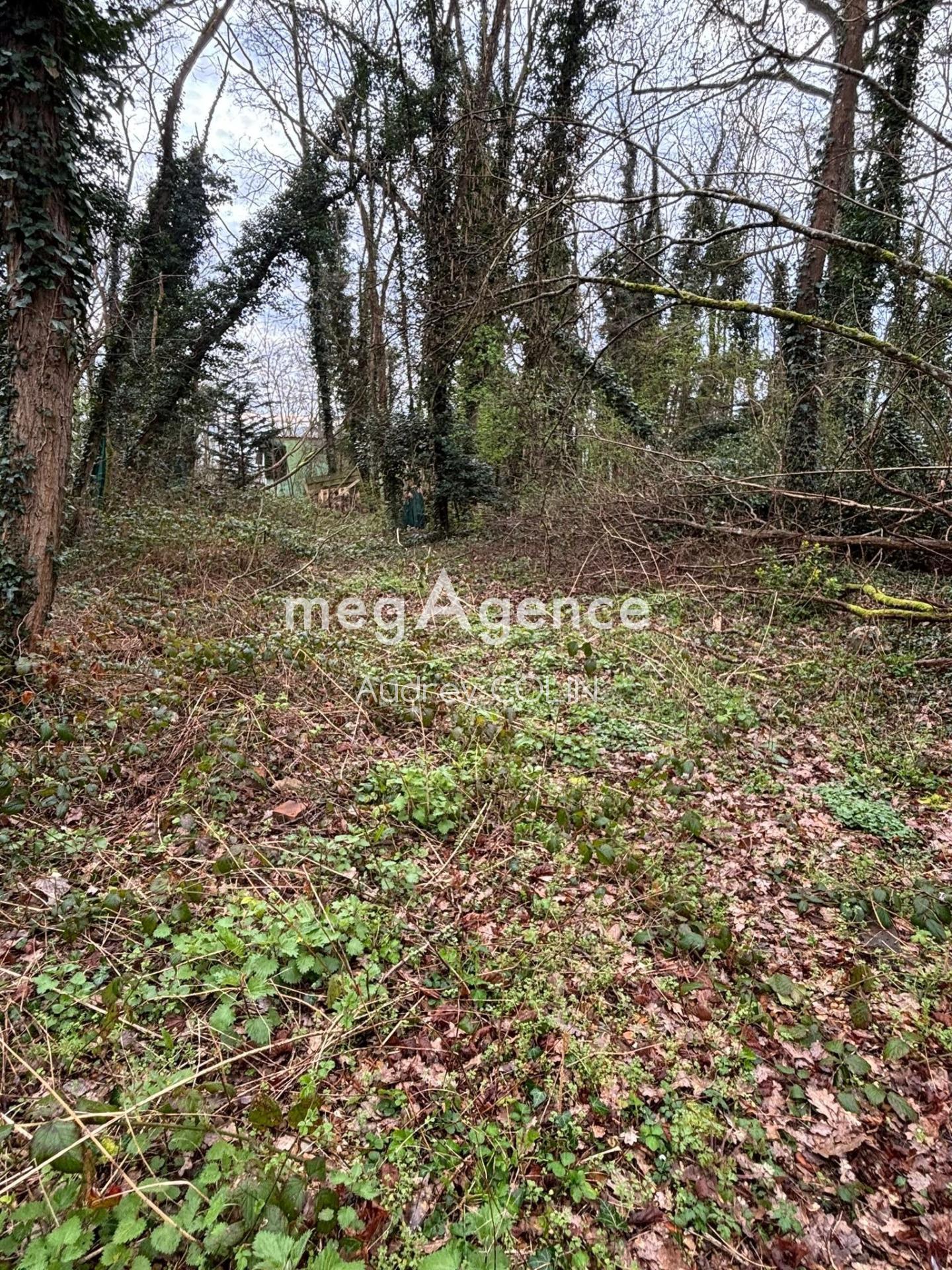 Photographie descriptive du bien