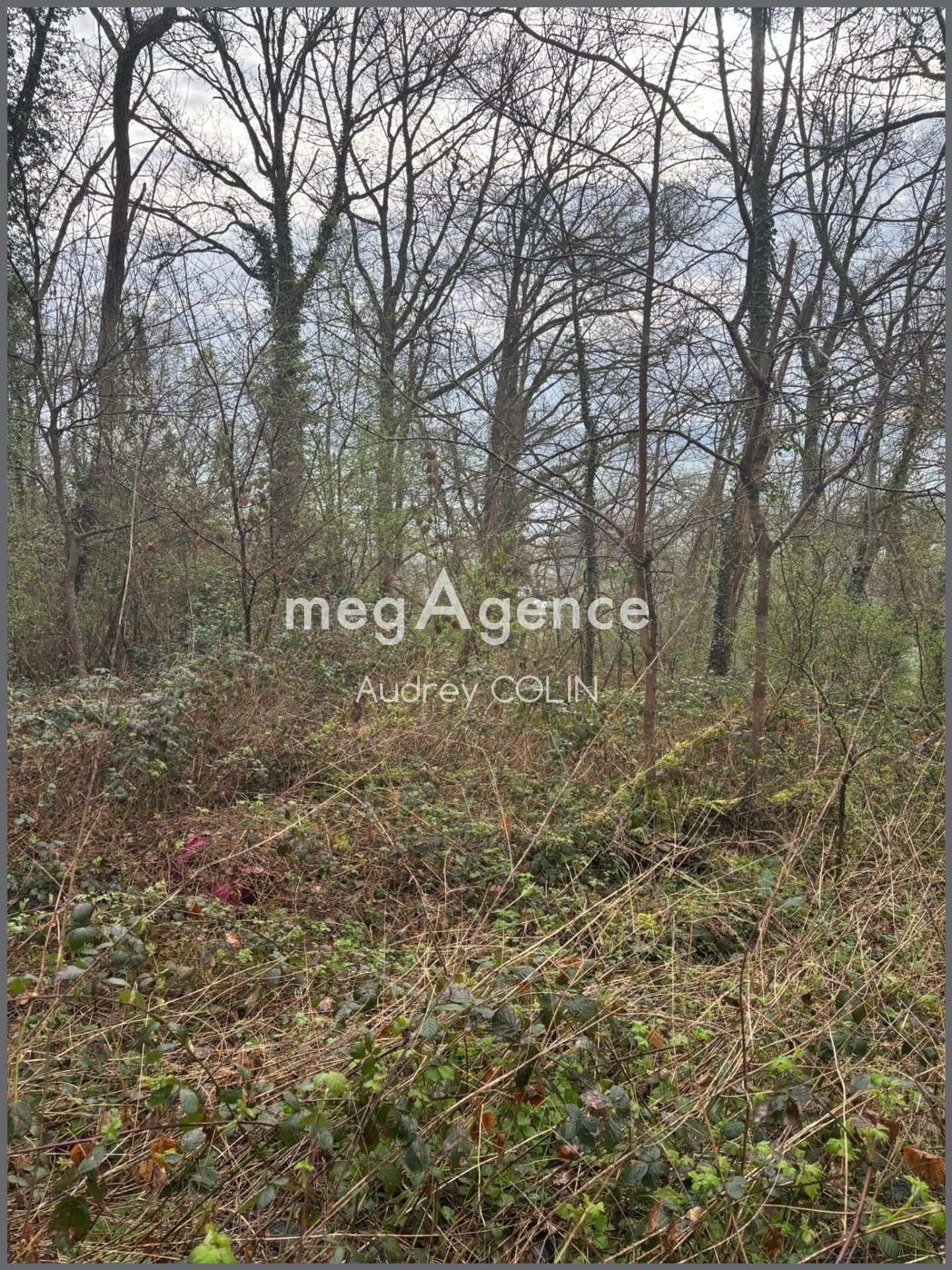 Miniature photo - 2 / 2