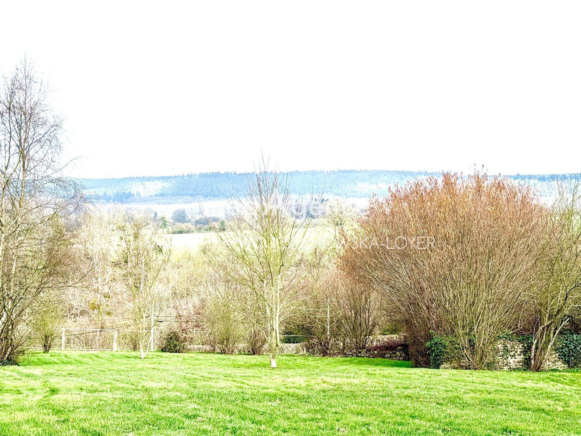 Miniature photo - 19 / 19