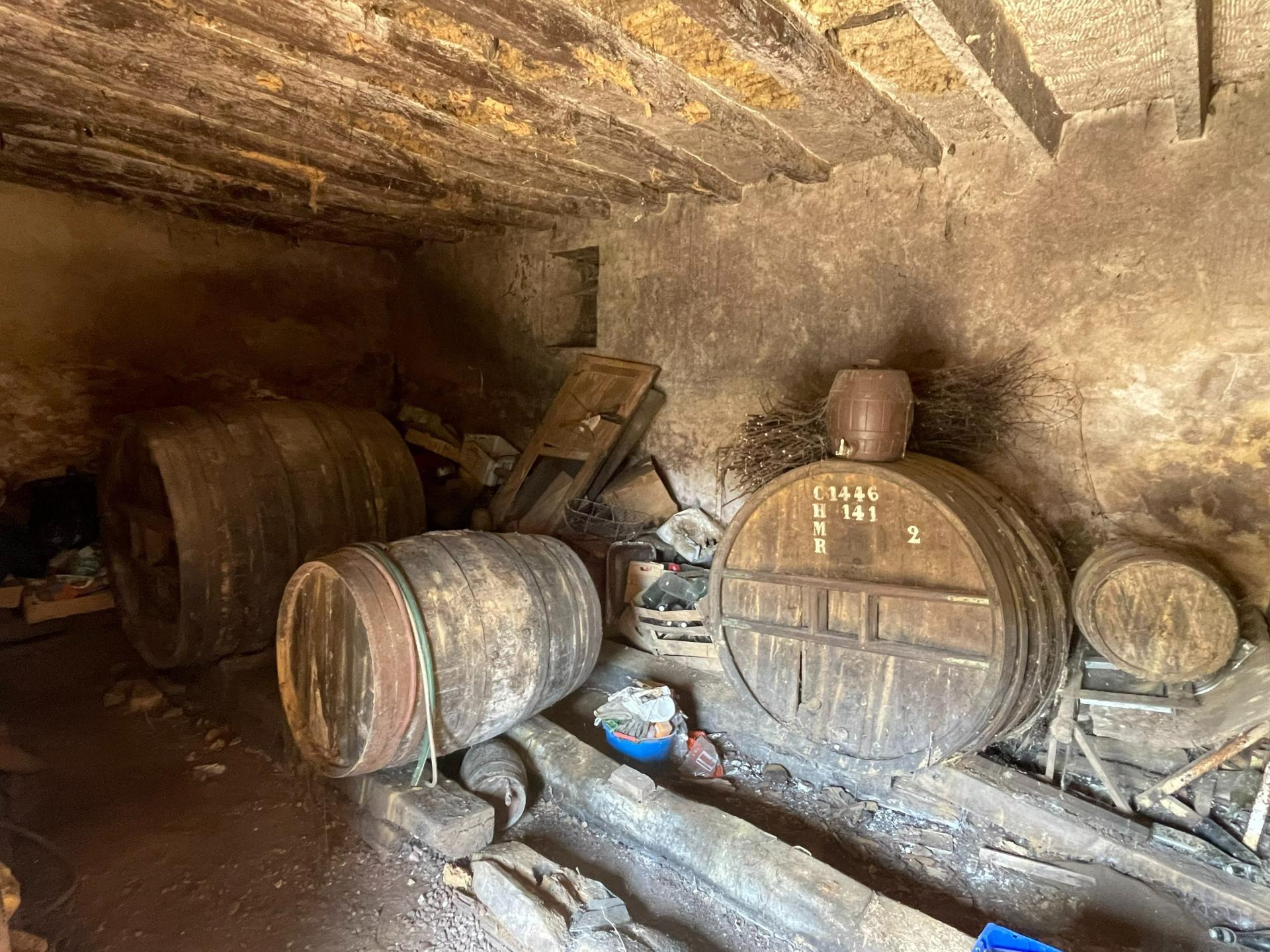 Miniature photo - 9 / 9